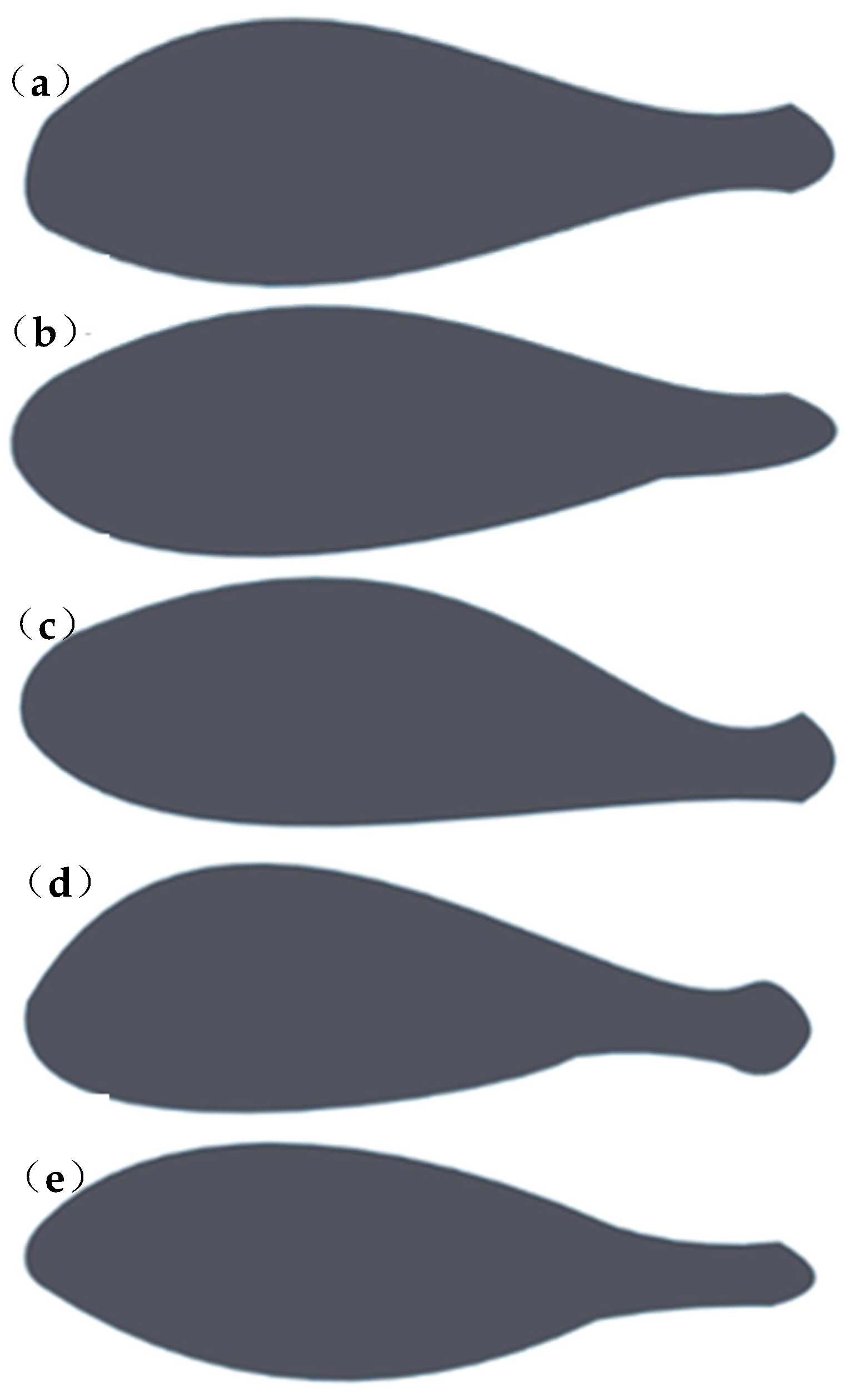 Fluids 10 00107 g007