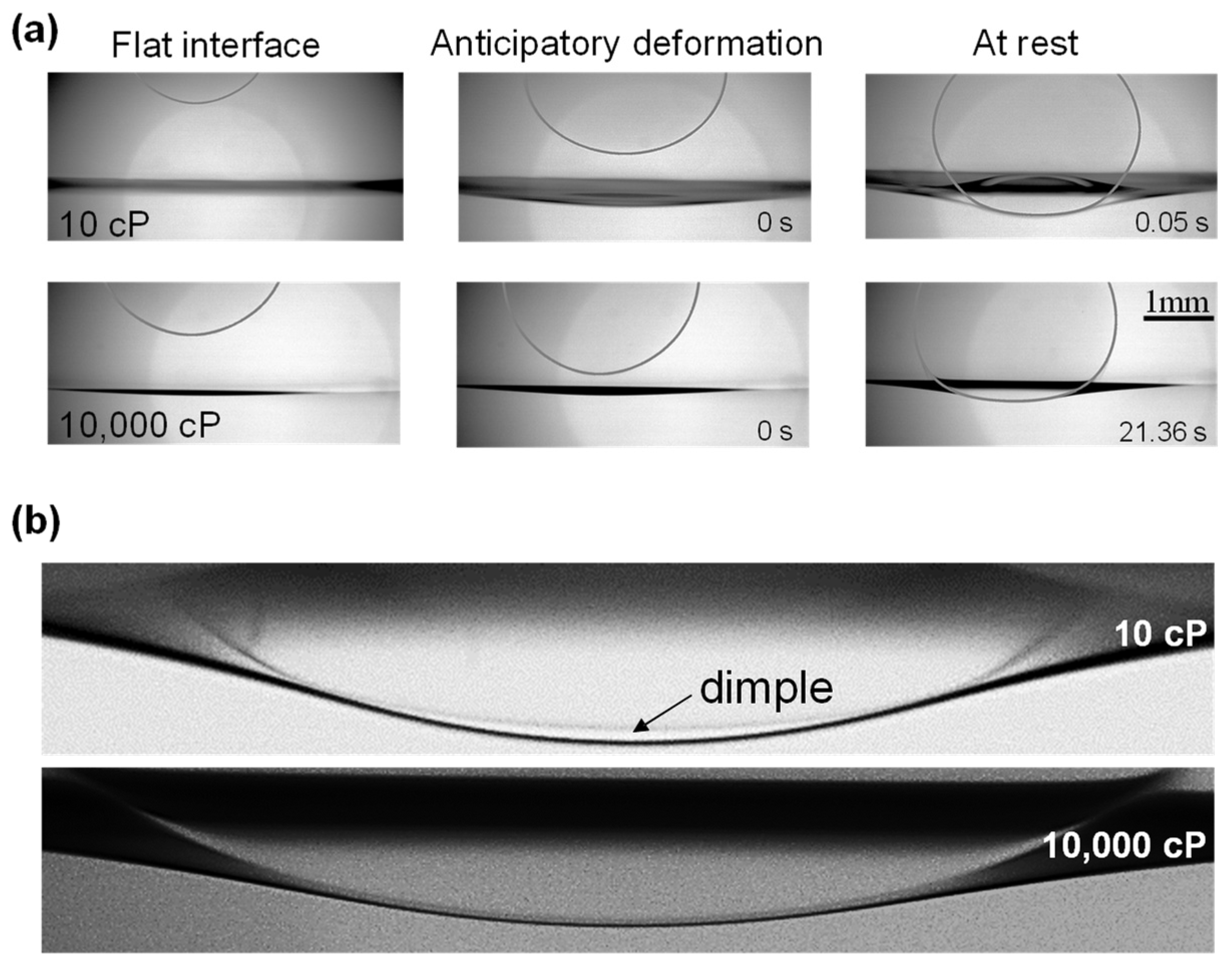 Fluids 10 00127 g001
