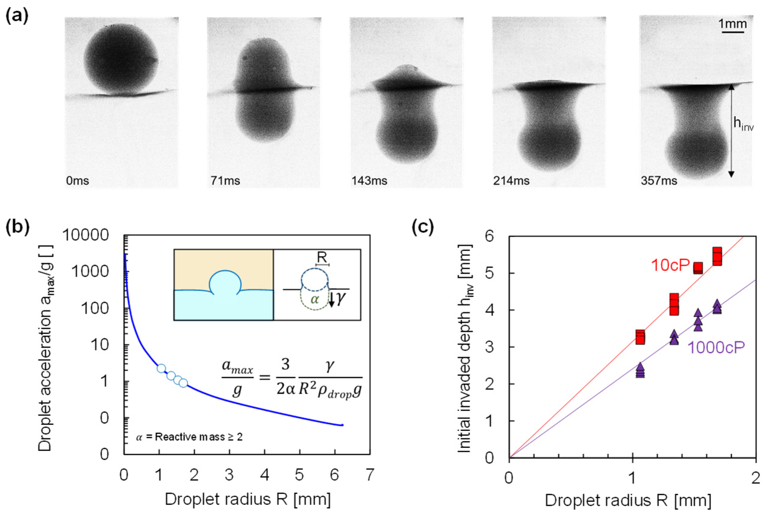 Fluids 10 00127 g004