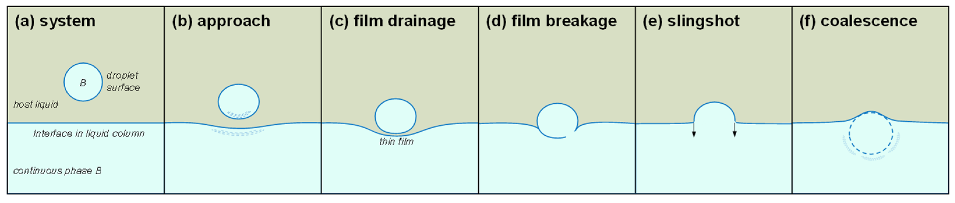Fluids 10 00127 g006