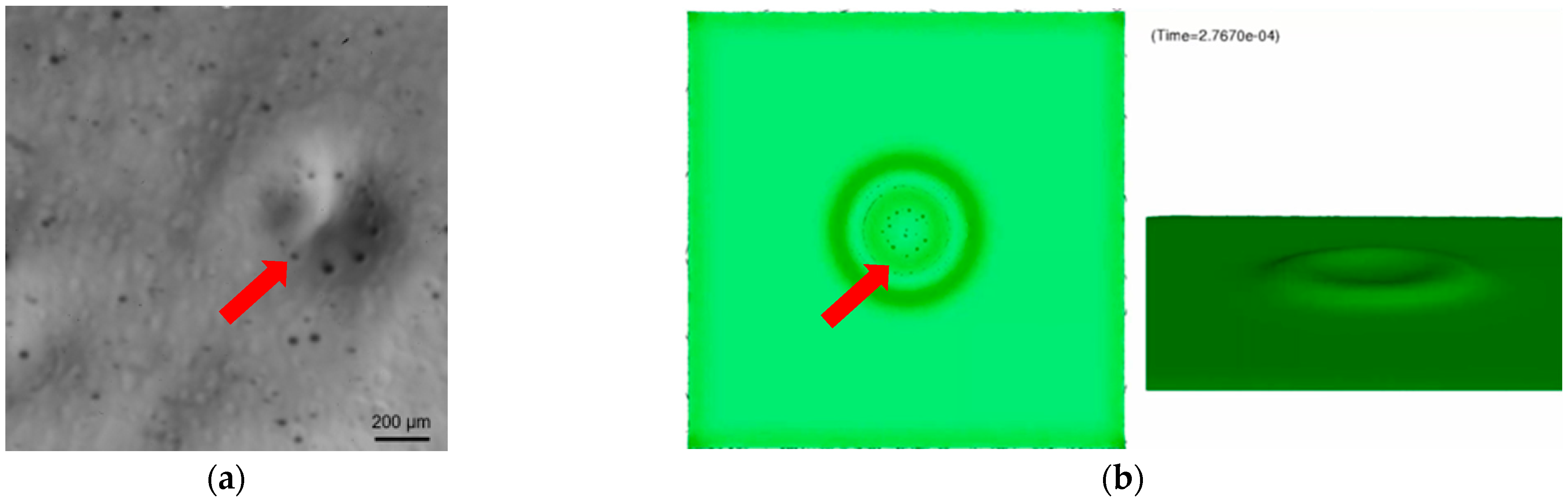 Fluids 10 00131 g011