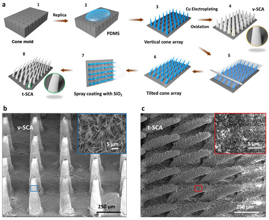 Excellent Superhydrophobic Cone-Array Surfaces with Low