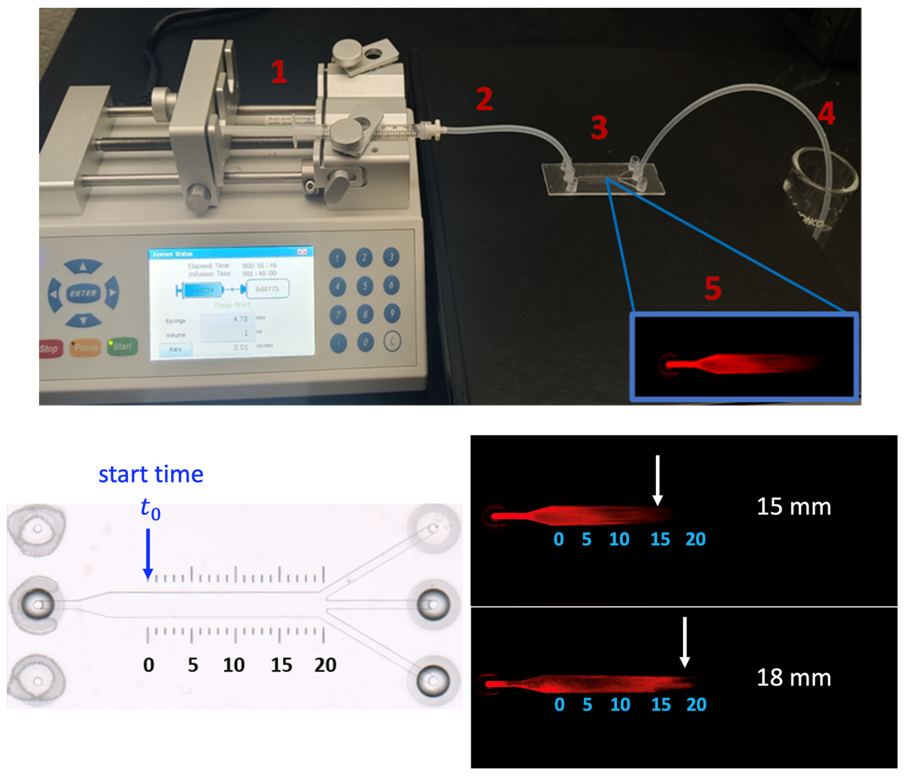 Fluids 10 00160 g007