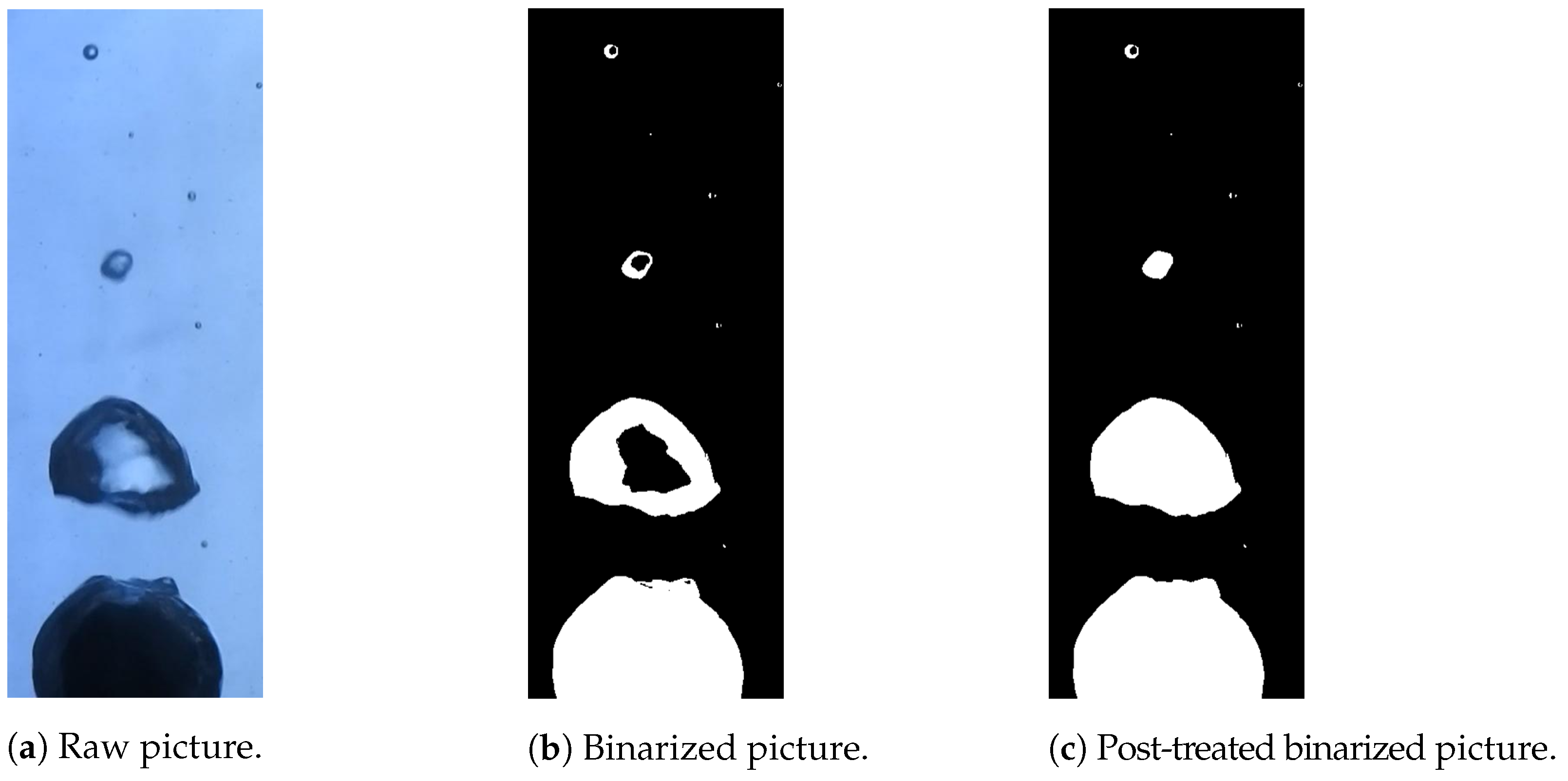 Fluids 10 00162 g004