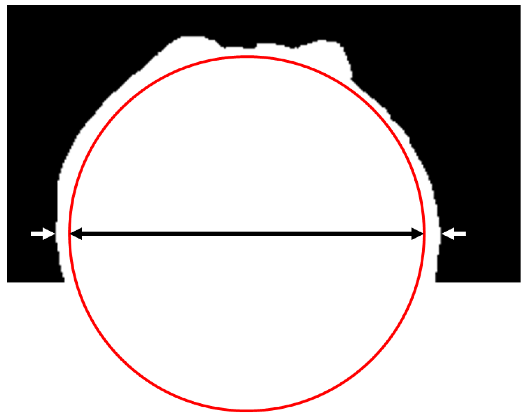 Fluids 10 00162 g005