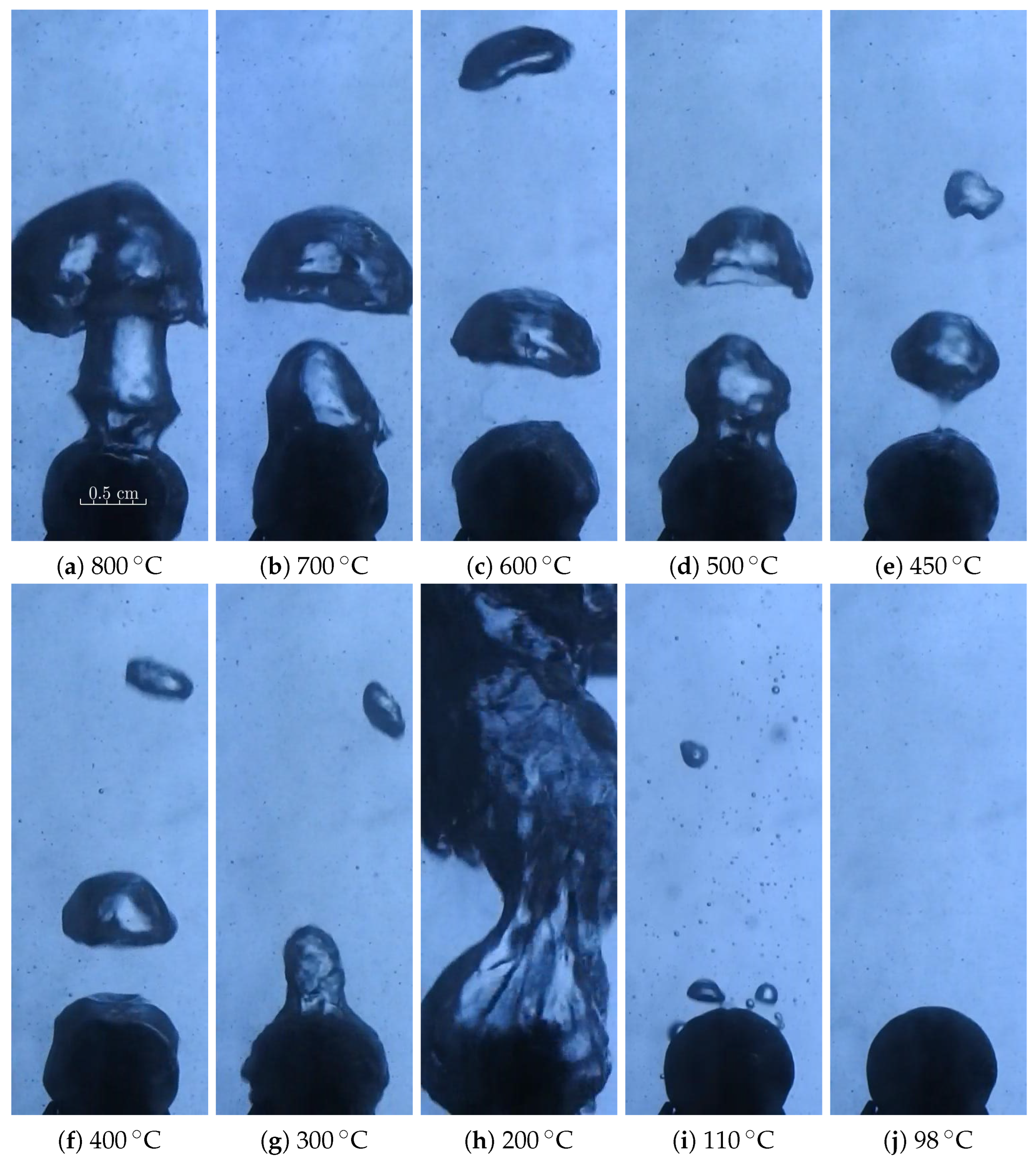 Fluids 10 00162 g010