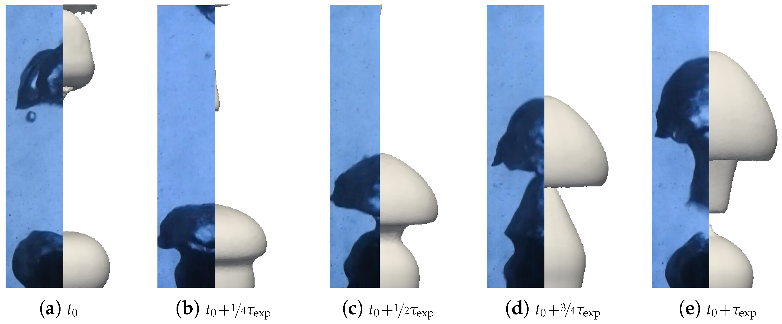 Fluids 10 00162 g028