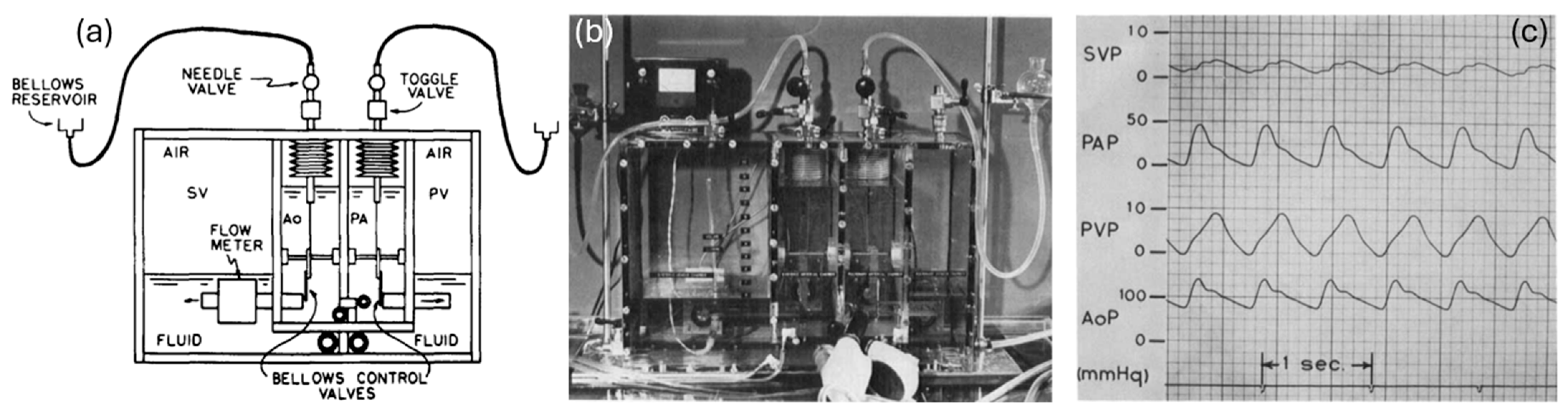 Fluids 10 00166 g001 Fluids 10 00166 g001