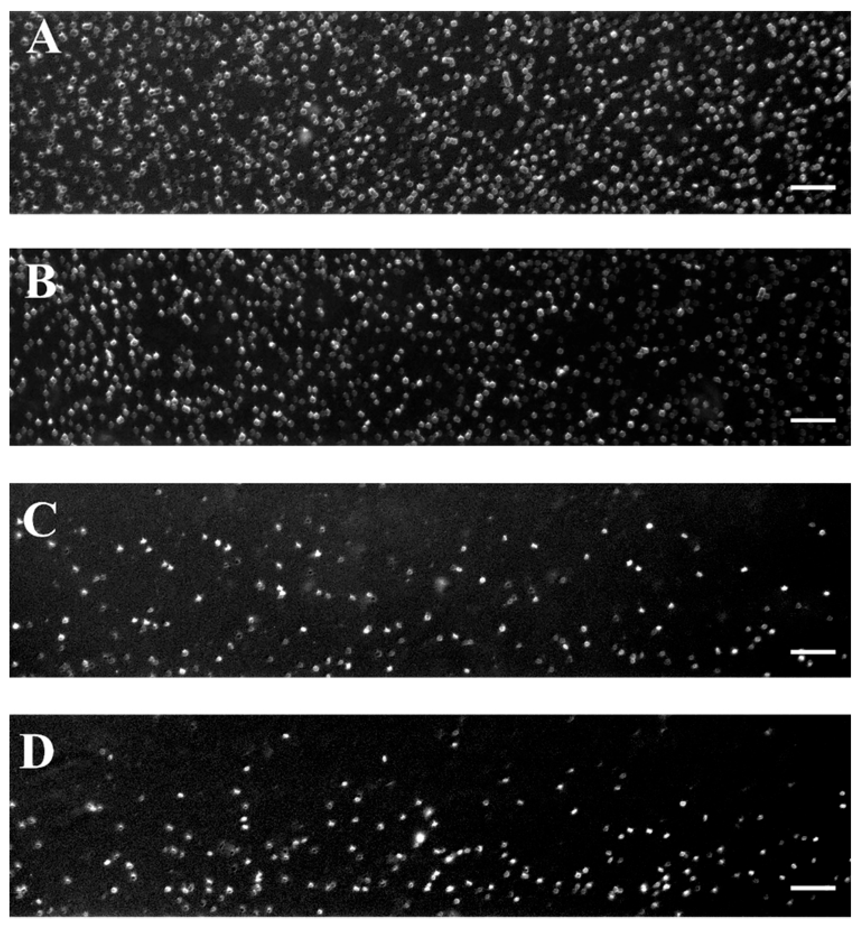Fluids 10 00167 g002 Fluids 10 00167 g002
