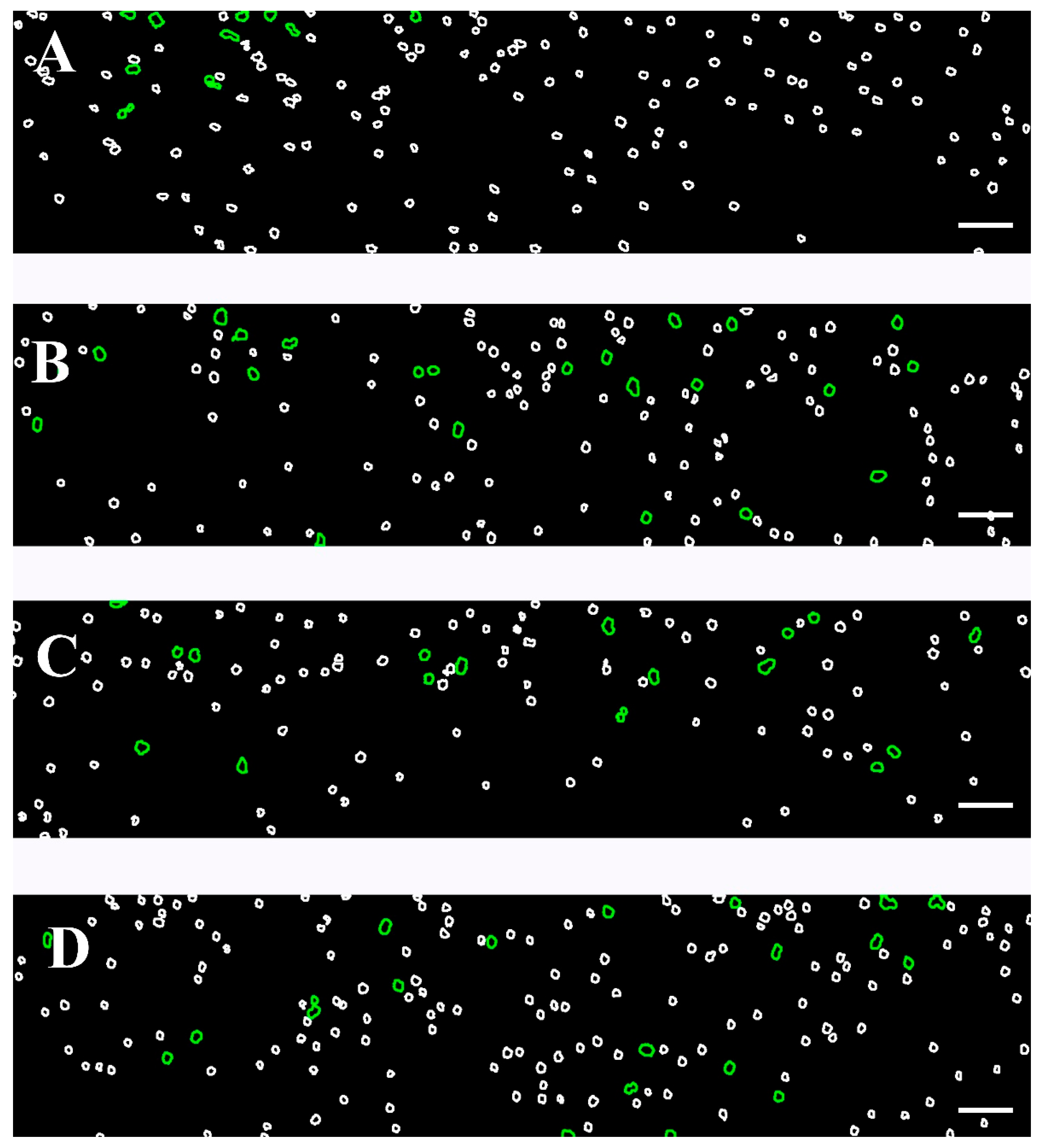 Fluids 10 00167 g007 Fluids 10 00167 g007