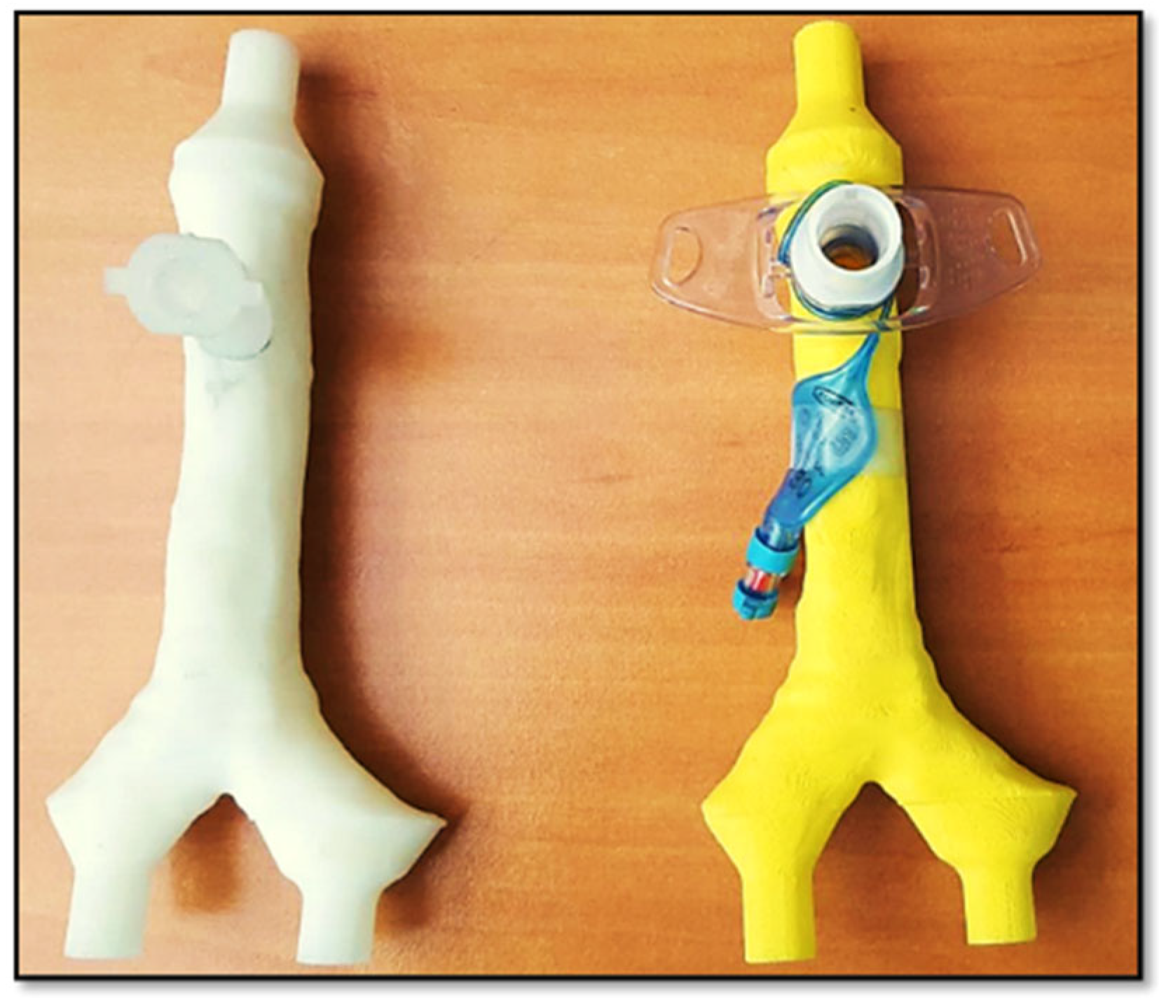 Fluids 10 00186 g003