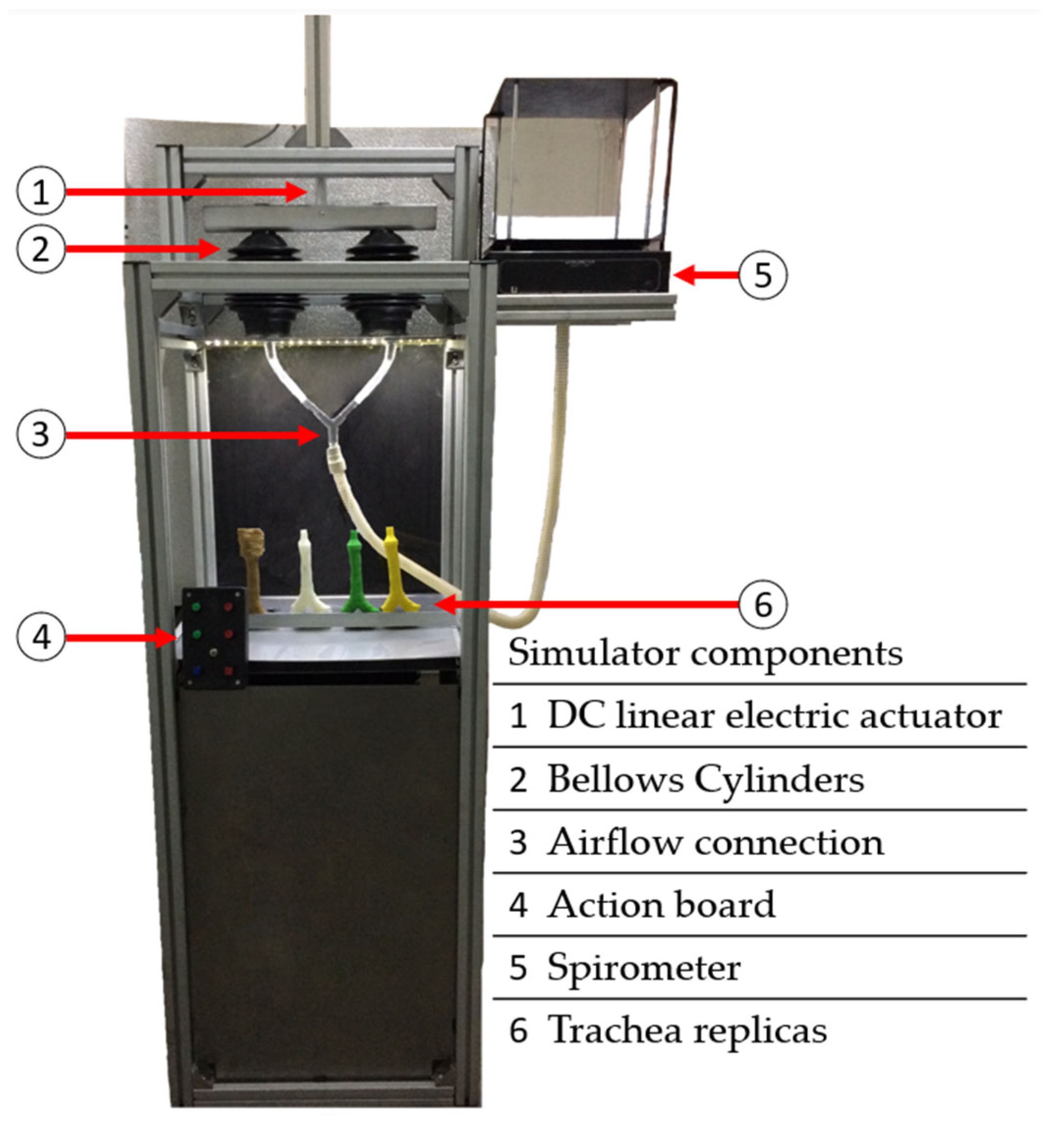 Fluids 10 00186 g004