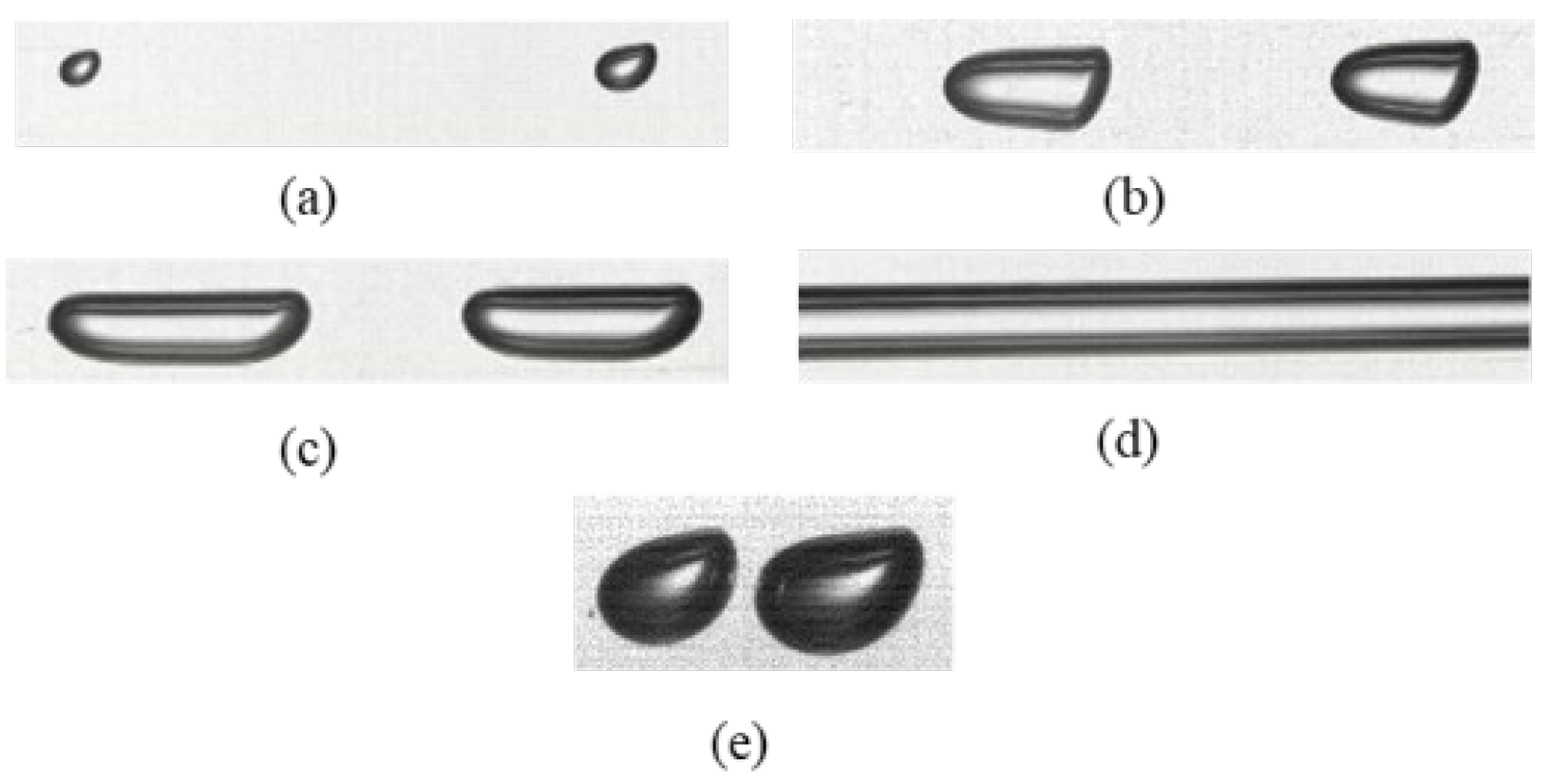Fluids 10 00196 g004