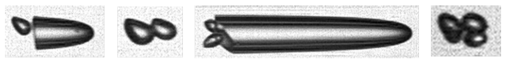 Fluids 10 00196 g011