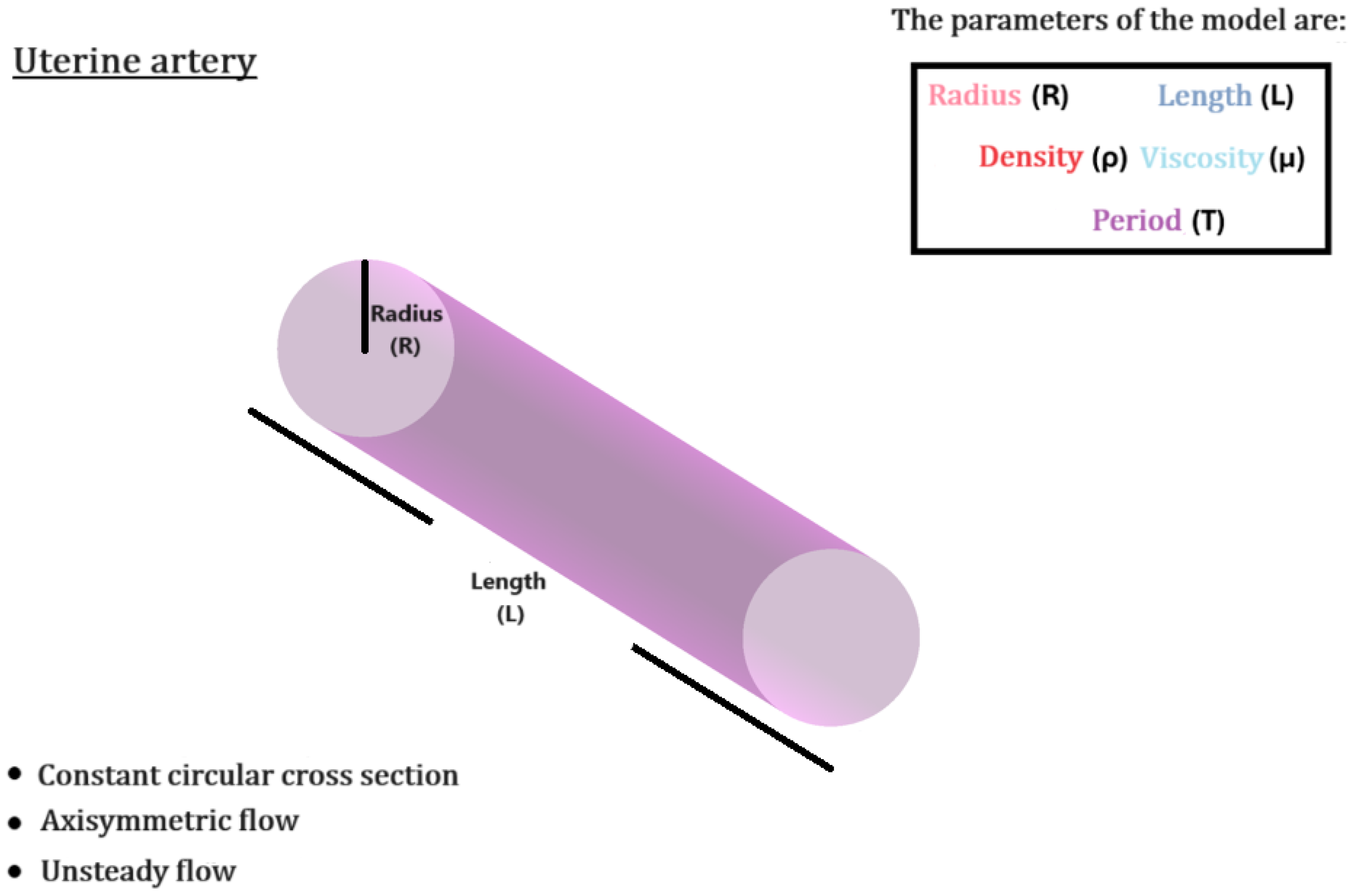 Fluids 10 00203 g007