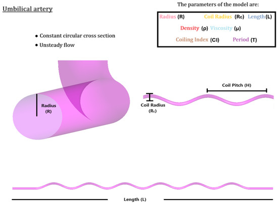 Mathematical Study of Pulsatile Blood Flow in the Uterine and Umbilical ...