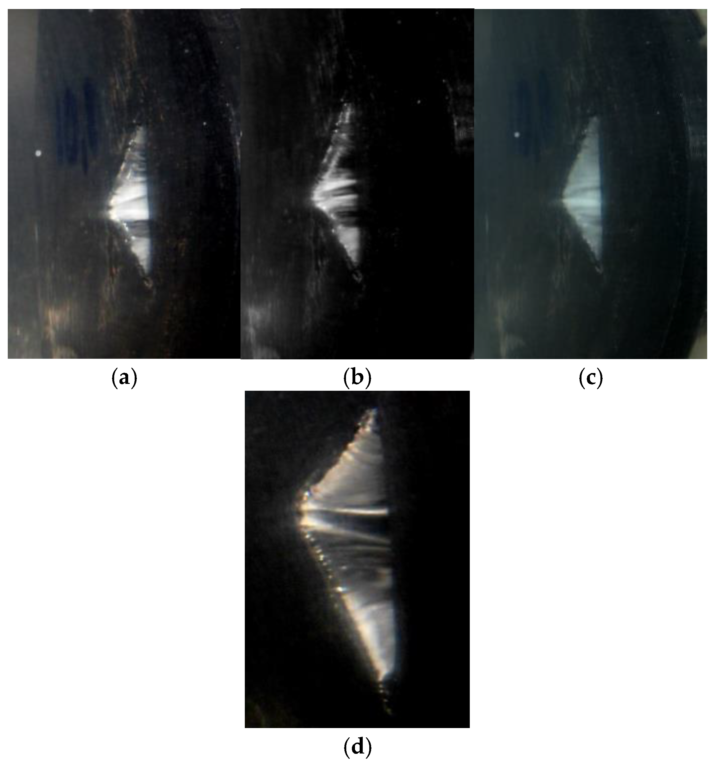 Fluids 10 00223 g012