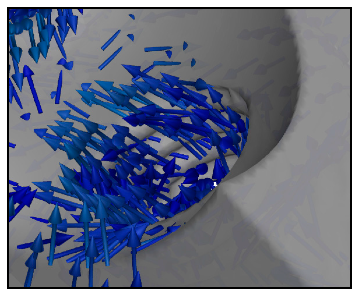 Fluids 10 00231 g016