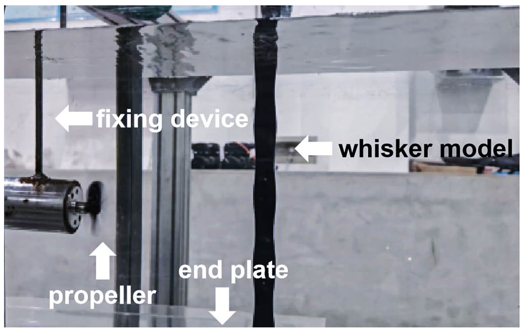 Fluids 10 00232 g001a