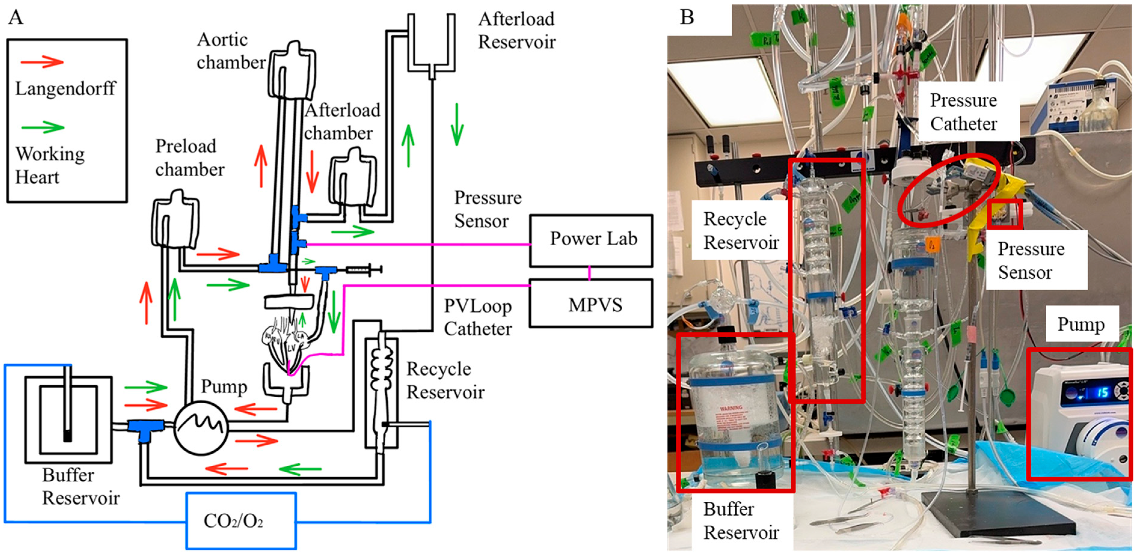 Fluids 10 00234 g002