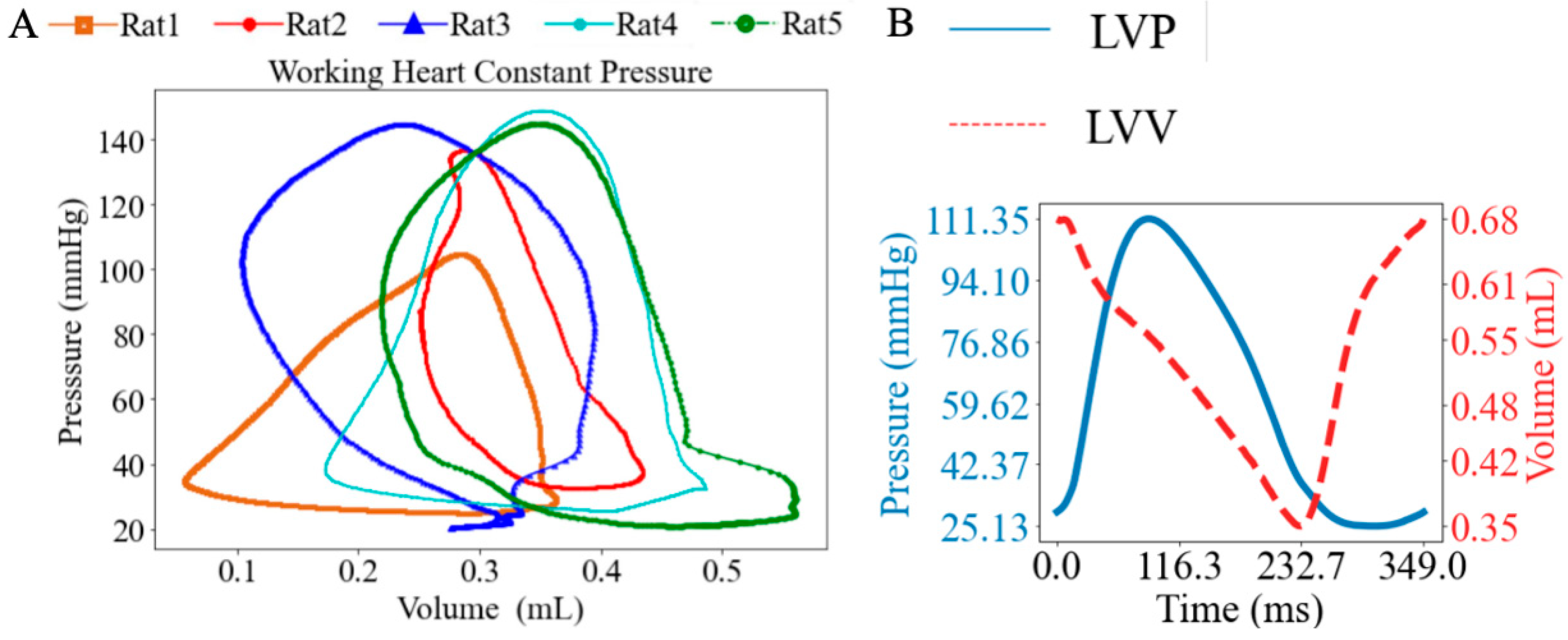 Fluids 10 00234 g005