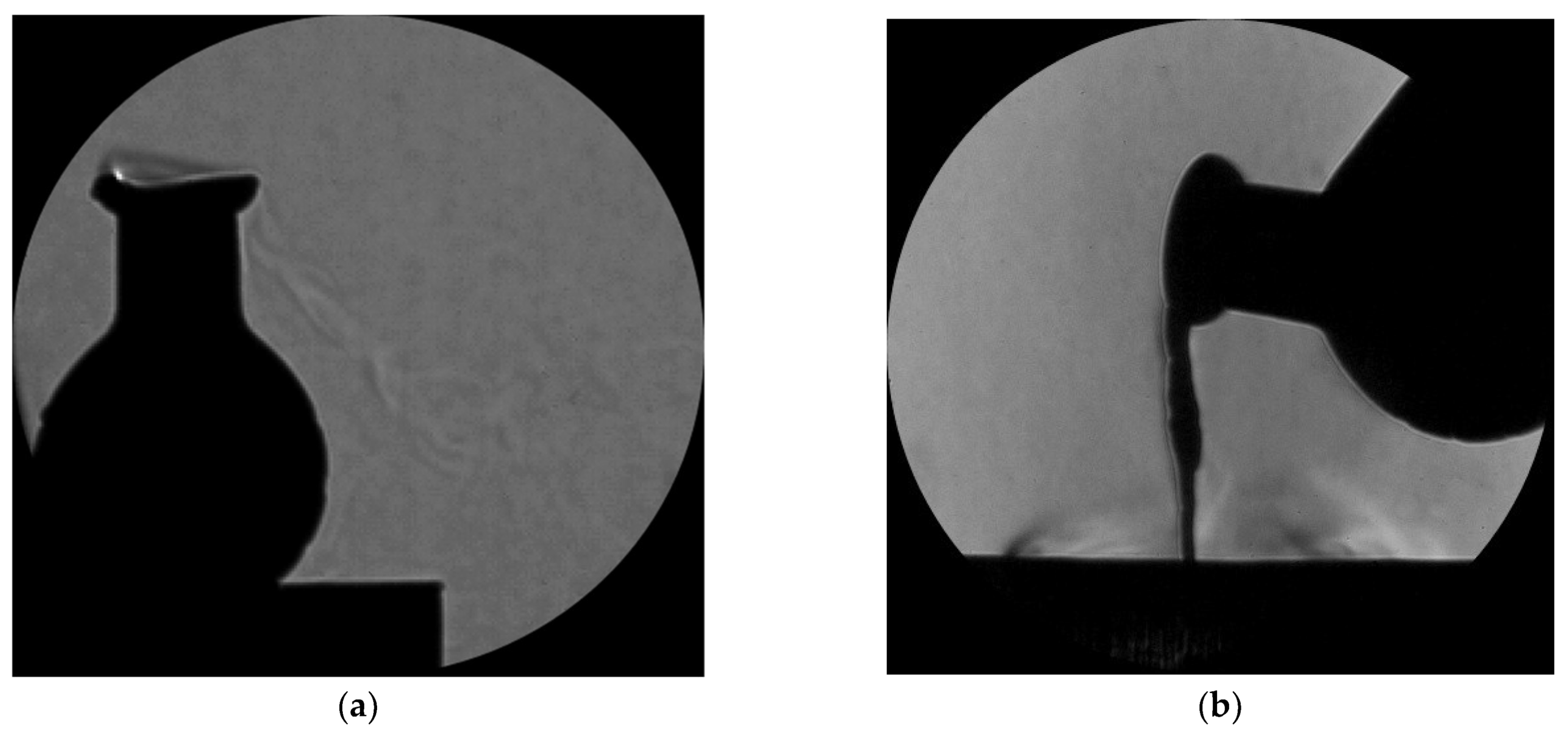 Fluids 10 00243 g004