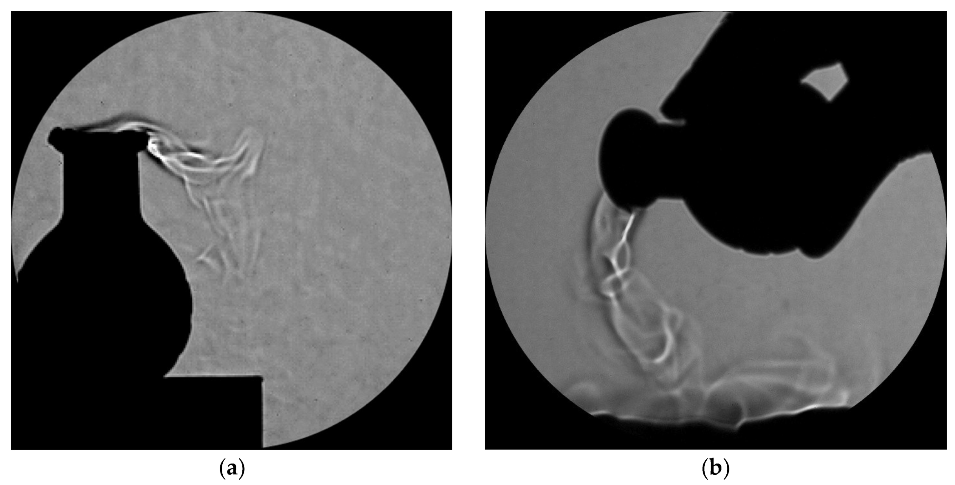 Fluids 10 00243 g005