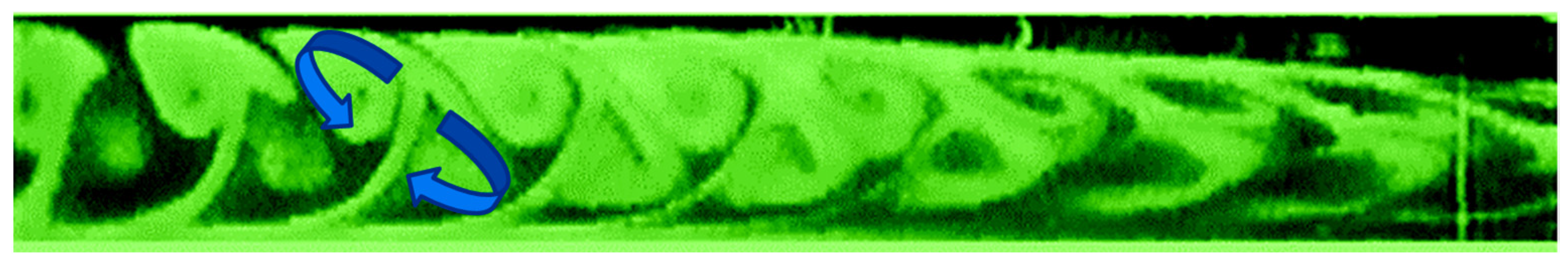 Fluids 10 00283 g006