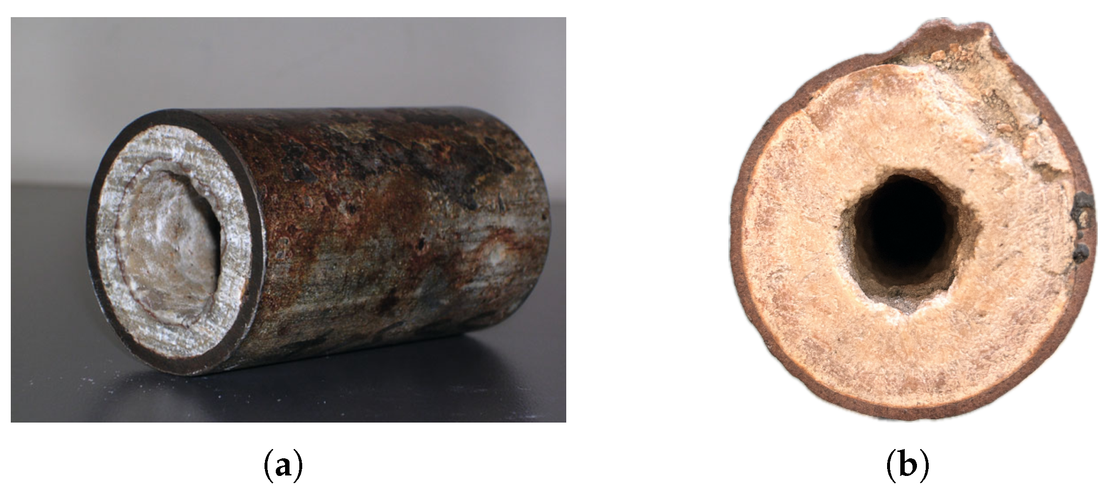 Fluids 10 00291 g001