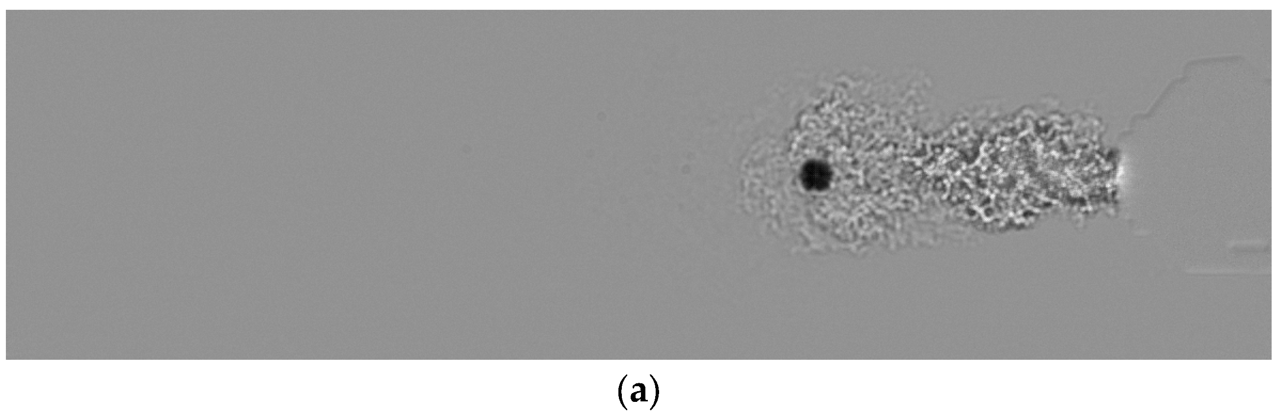 Fluids 10 00298 g008a