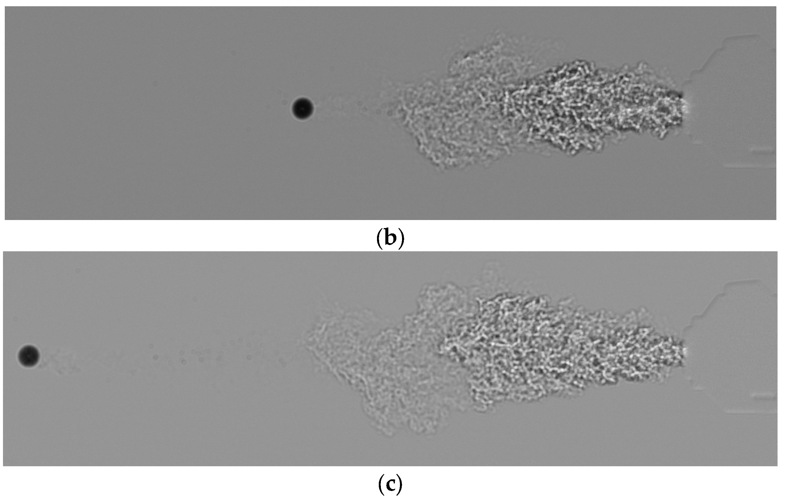 Fluids 10 00298 g008b