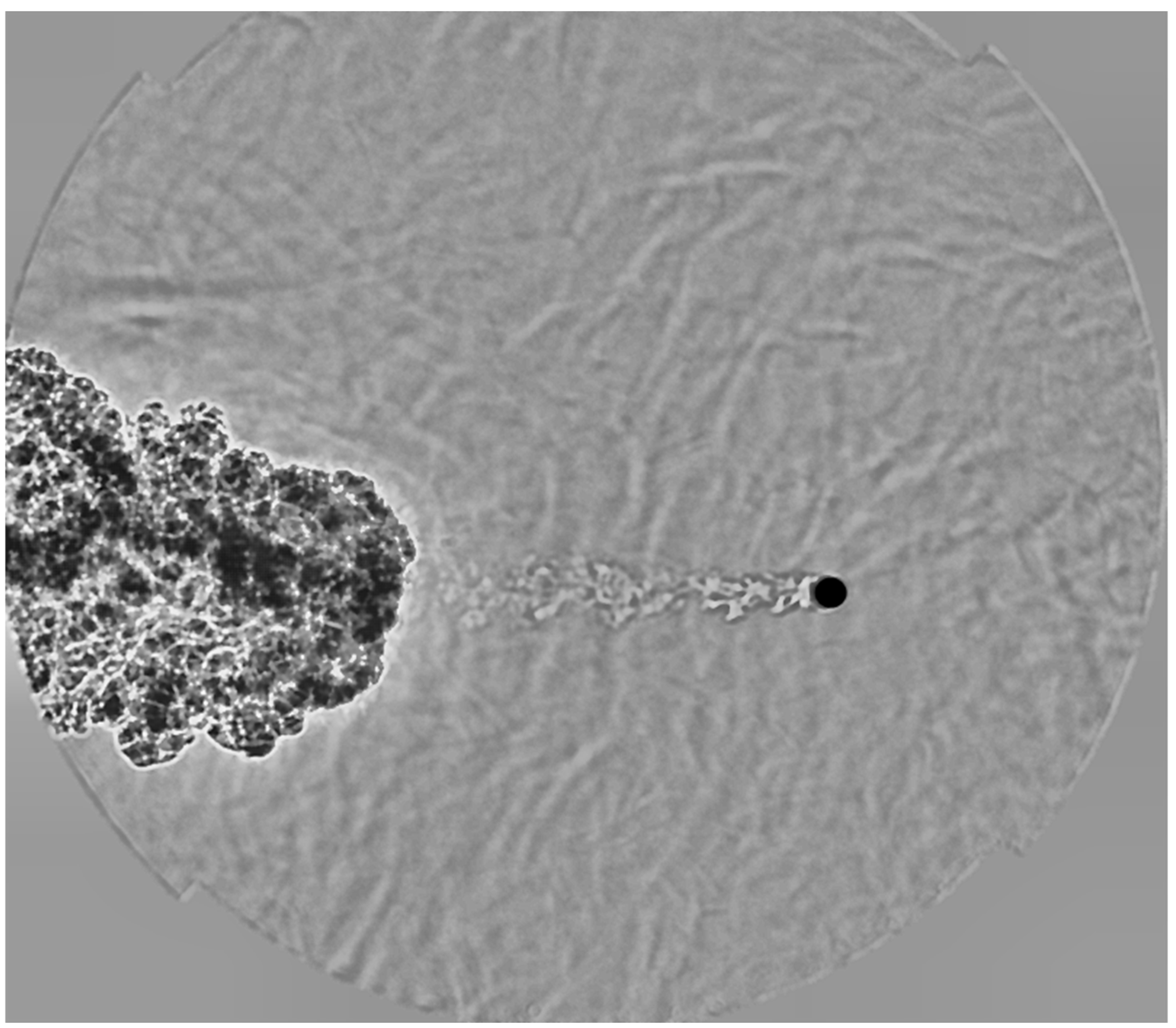 Fluids 10 00298 g009