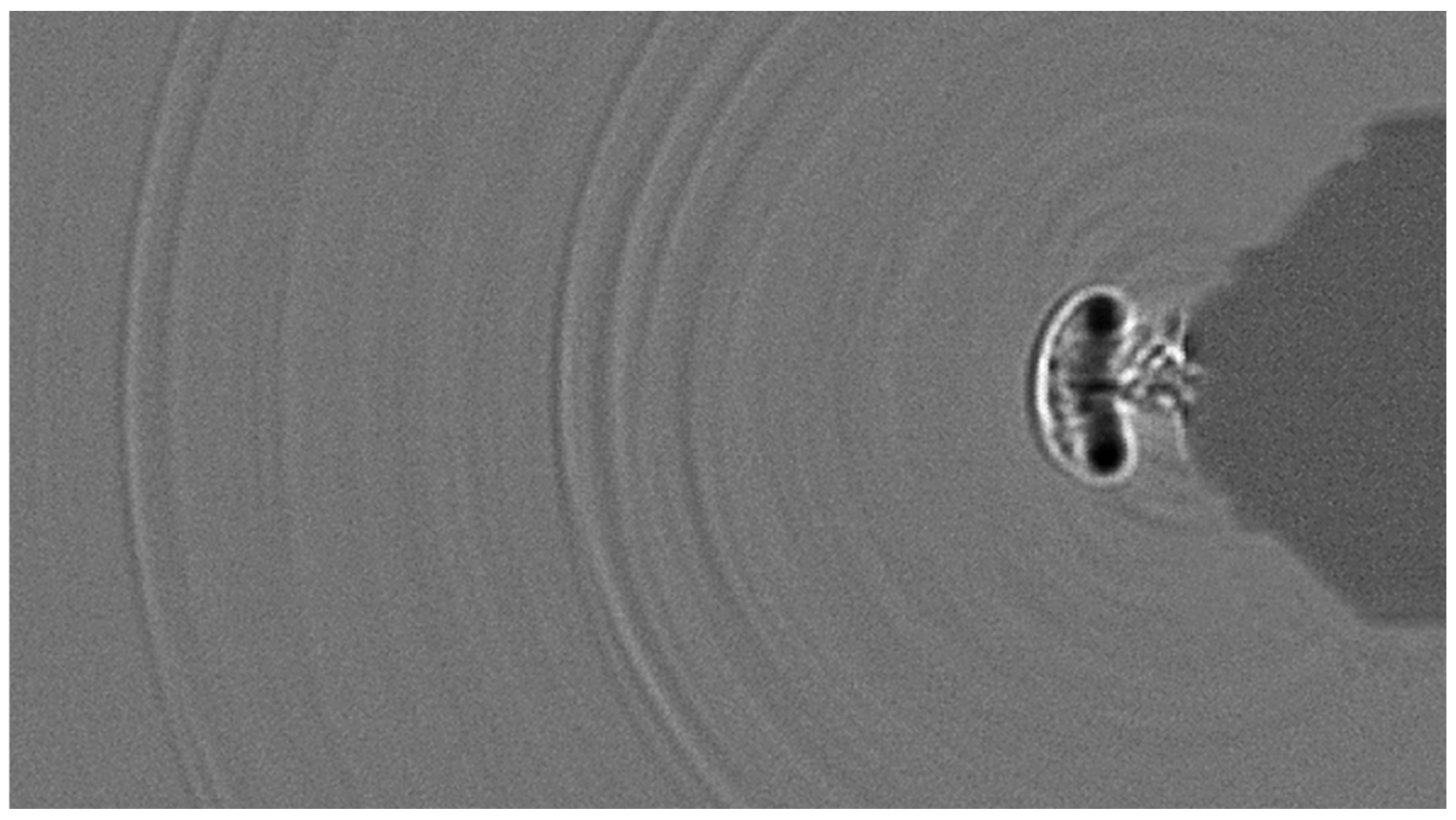 Fluids 10 00298 g010