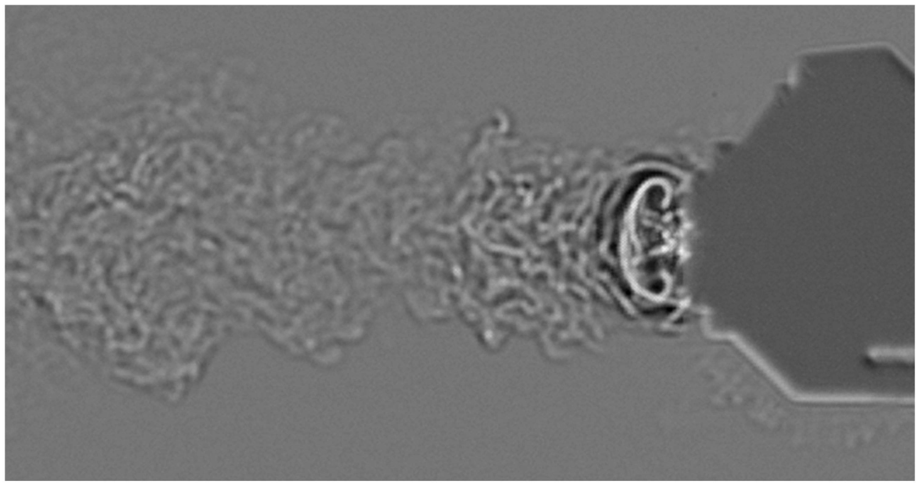 Fluids 10 00298 g013