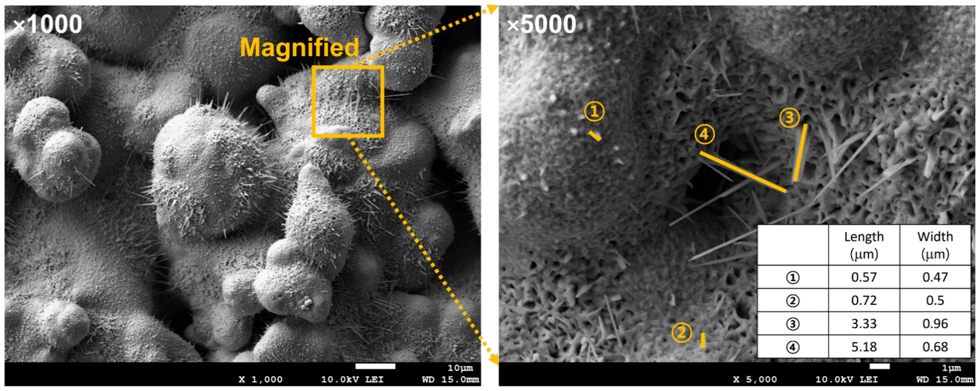 Fluids 10 00303 g008
