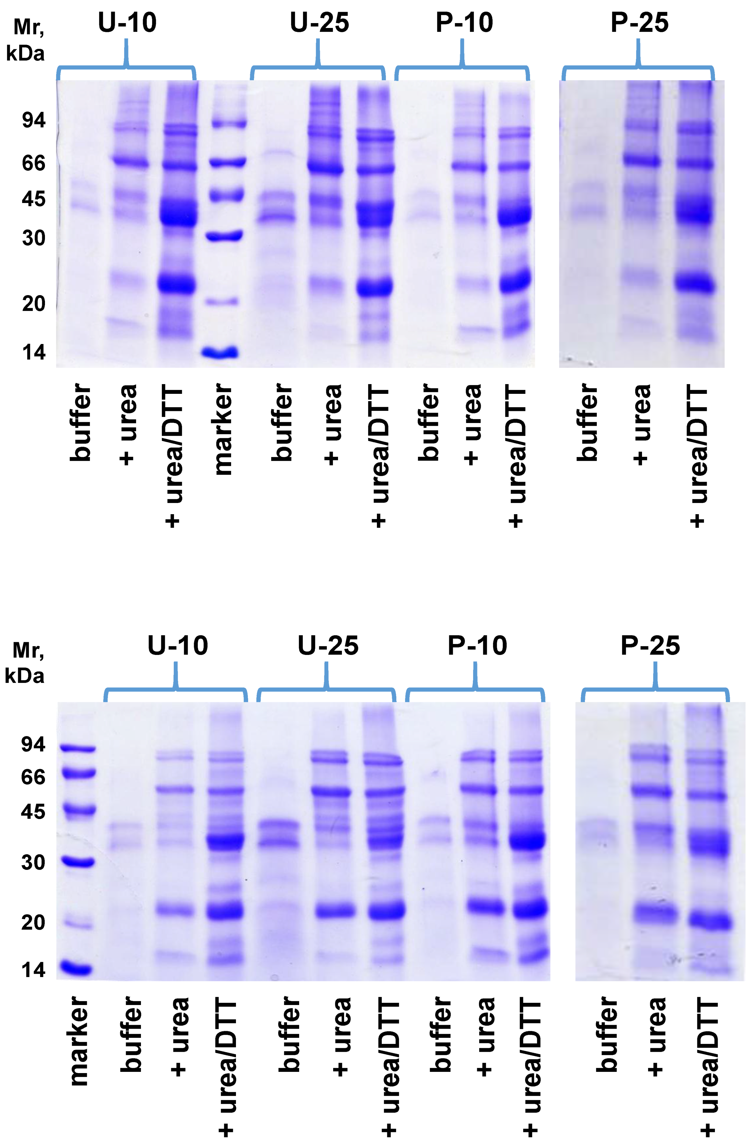 Foods 05 00038 g002 1024