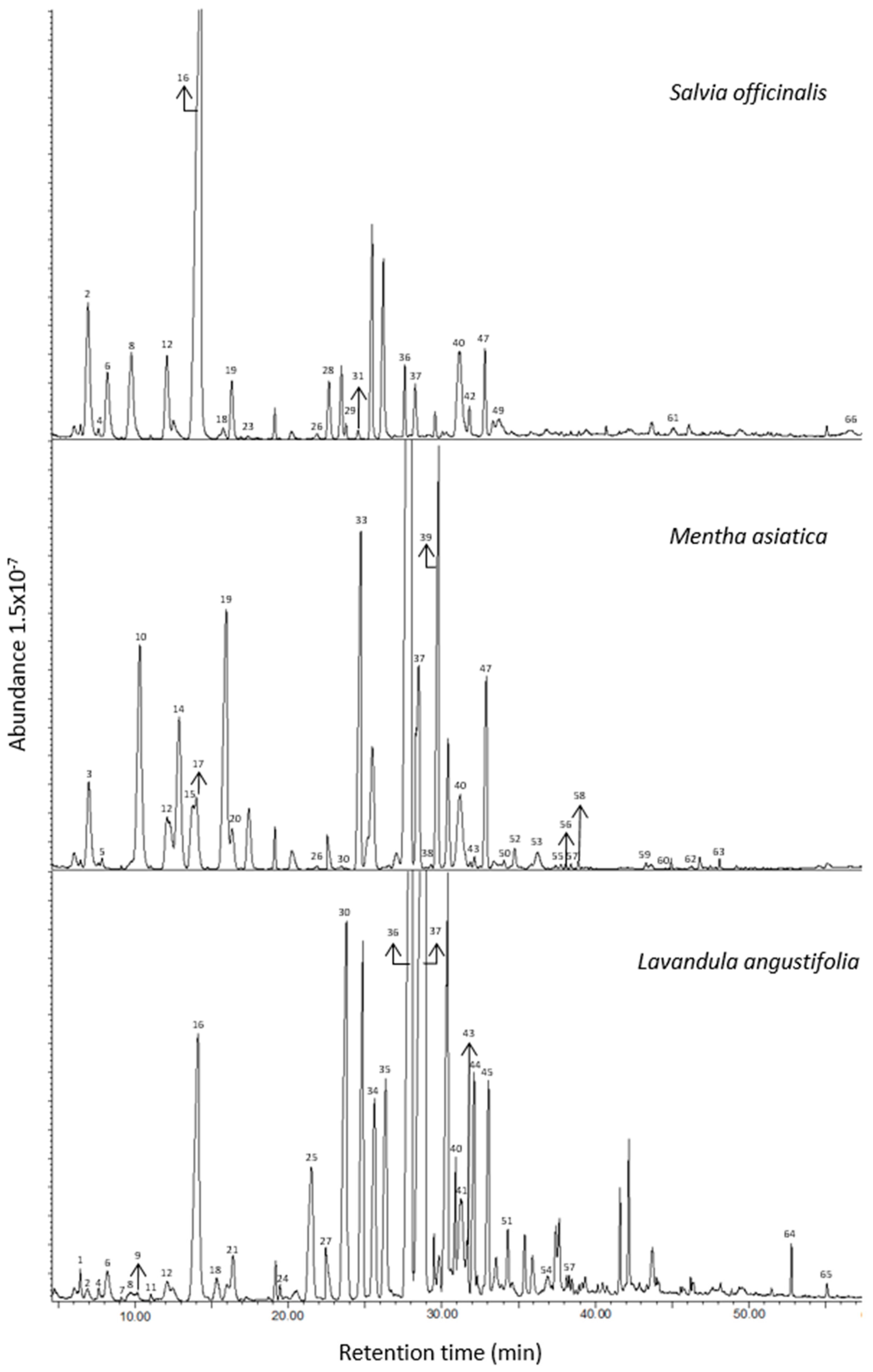 Foods 06 00010 g001 550