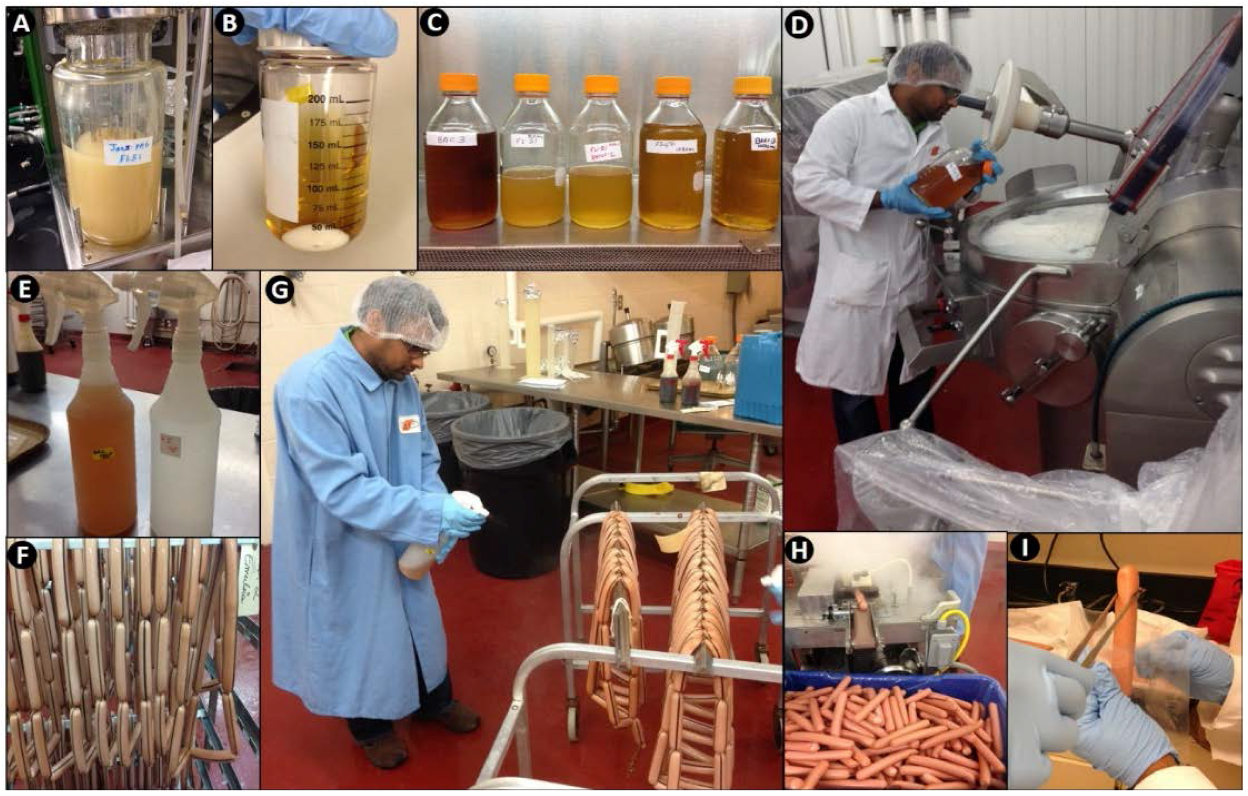 Foods 06 00022 g001 550