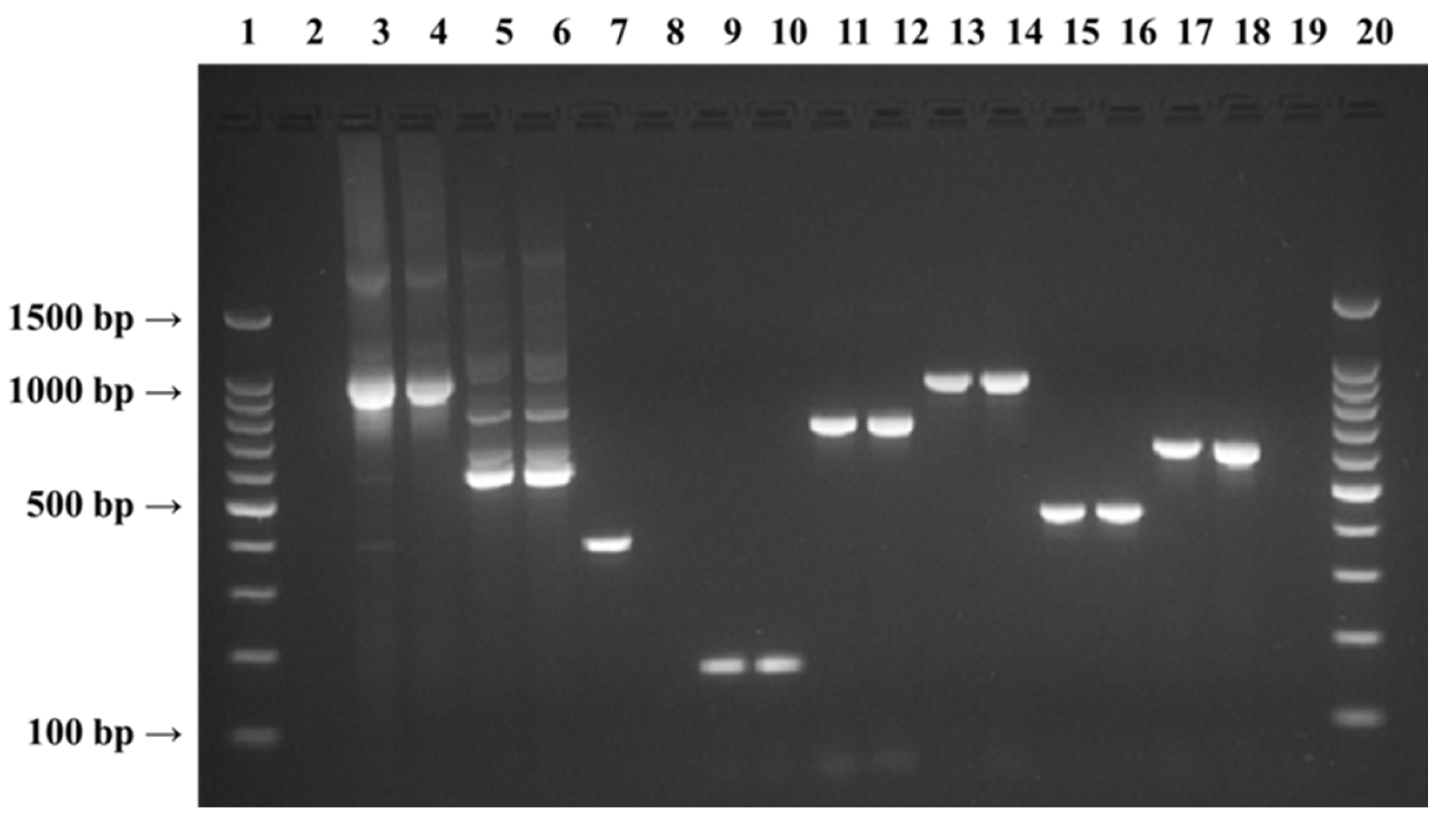 Foods 06 00036 g001 550