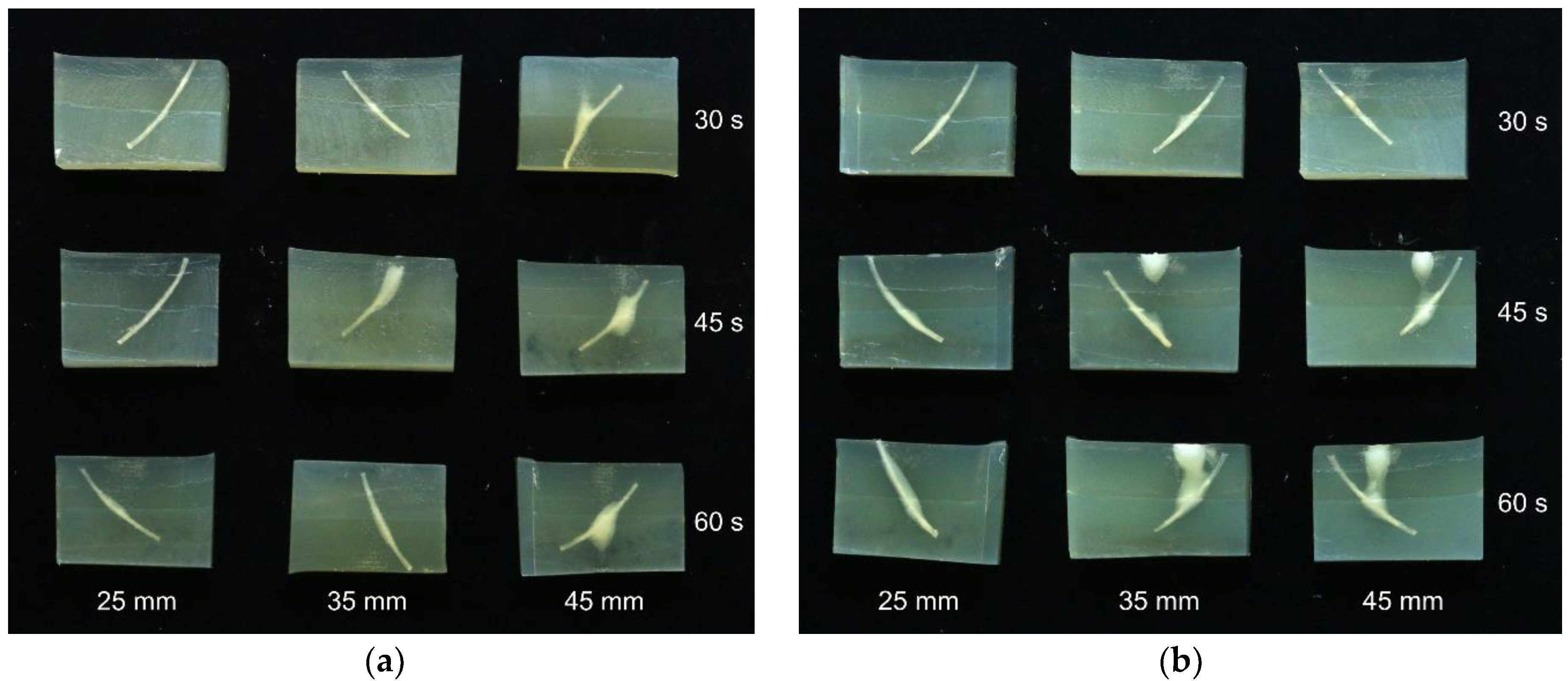 Foods 06 00082 g007 550