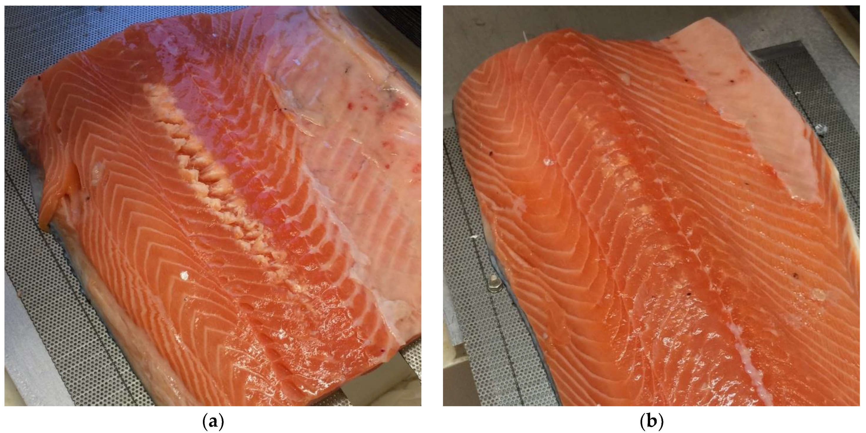 Foods | Free Full-Text | Weakening Pin Bone Attachment in Fish Fillets ...