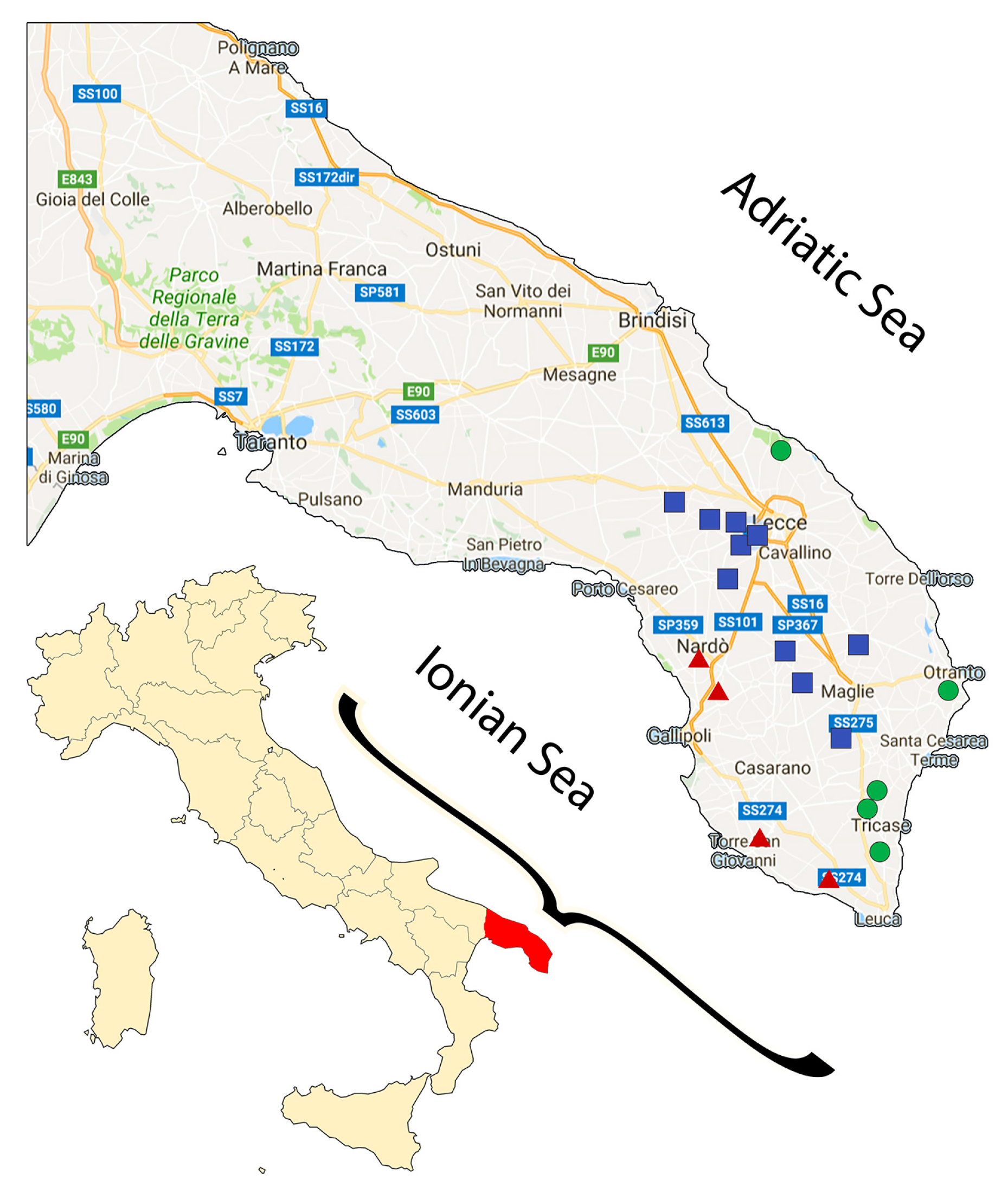 Foods 06 00090 g002 550