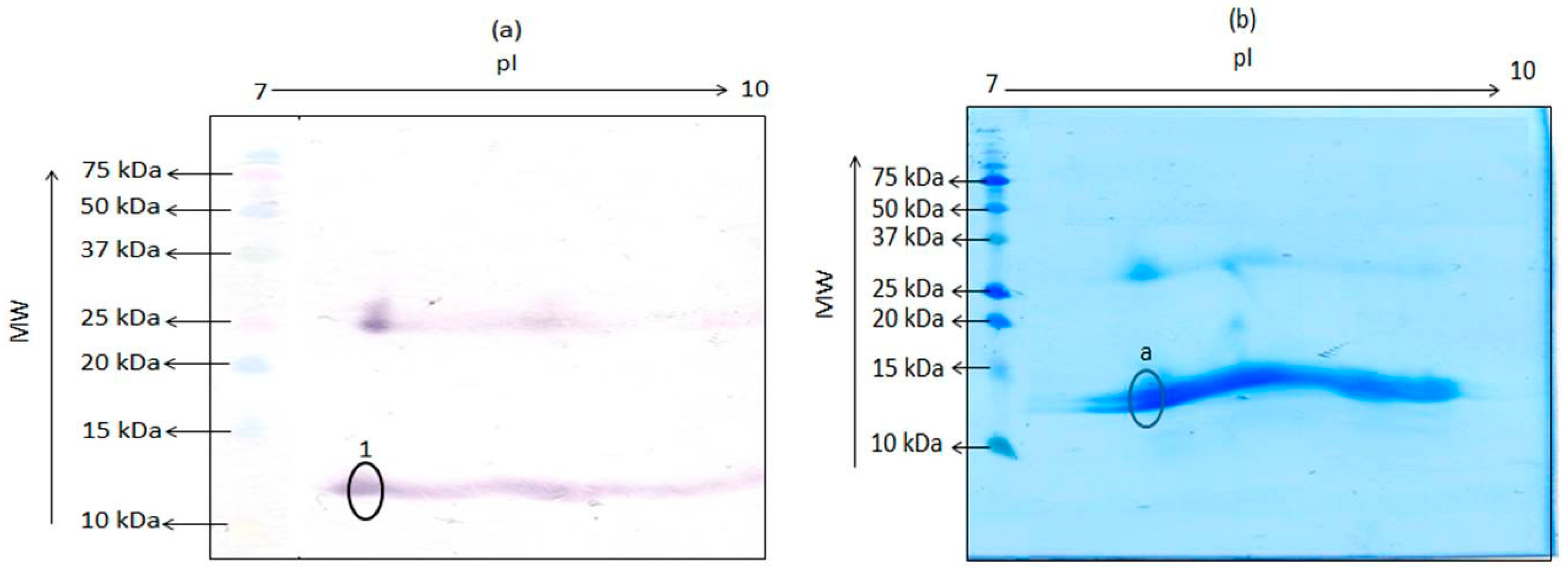 Foods 06 00101 g002 550