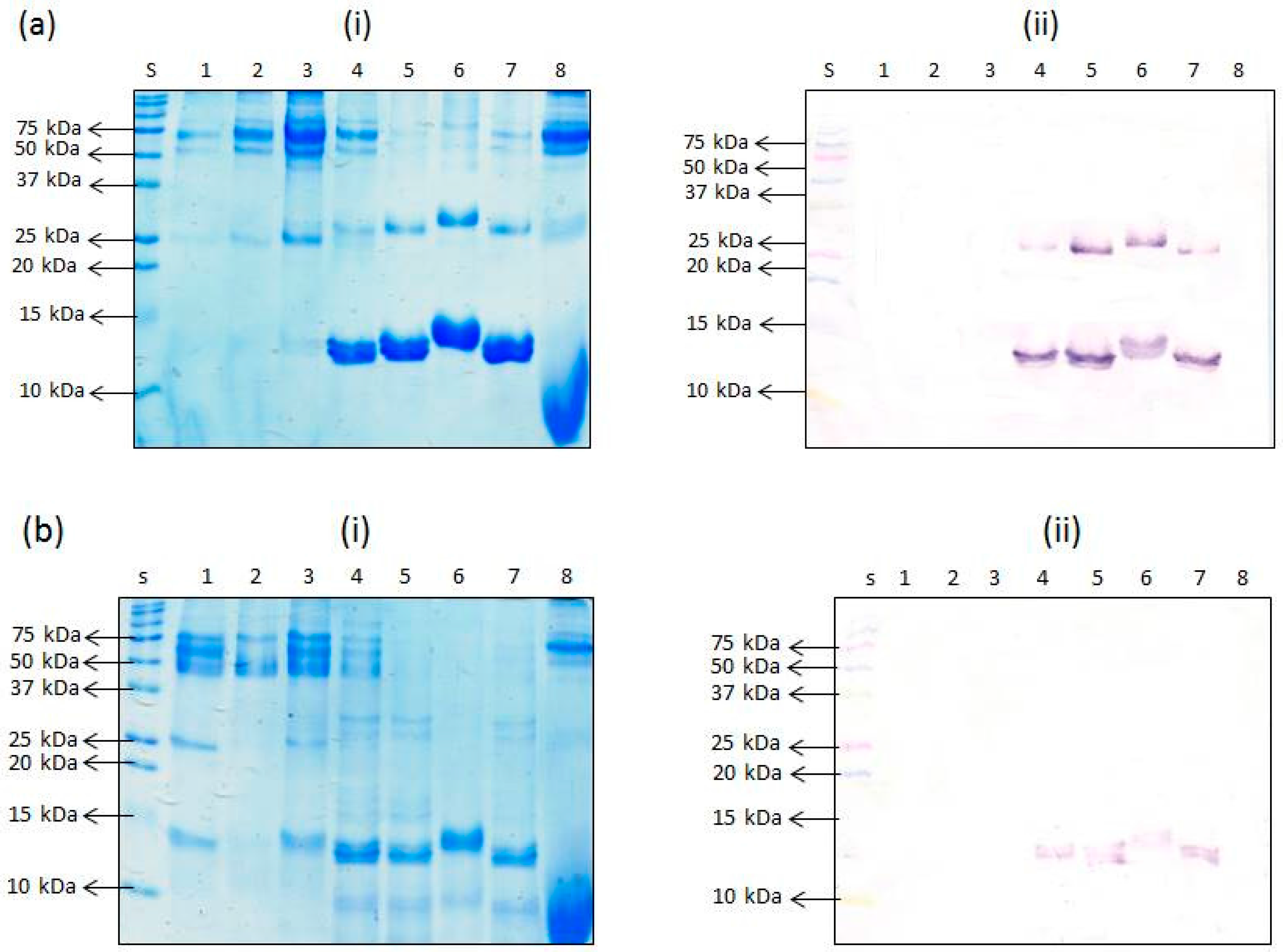 Foods 06 00101 g005 550