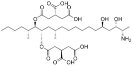 Foods 07 00045 i010 Foods 07 00045 i010