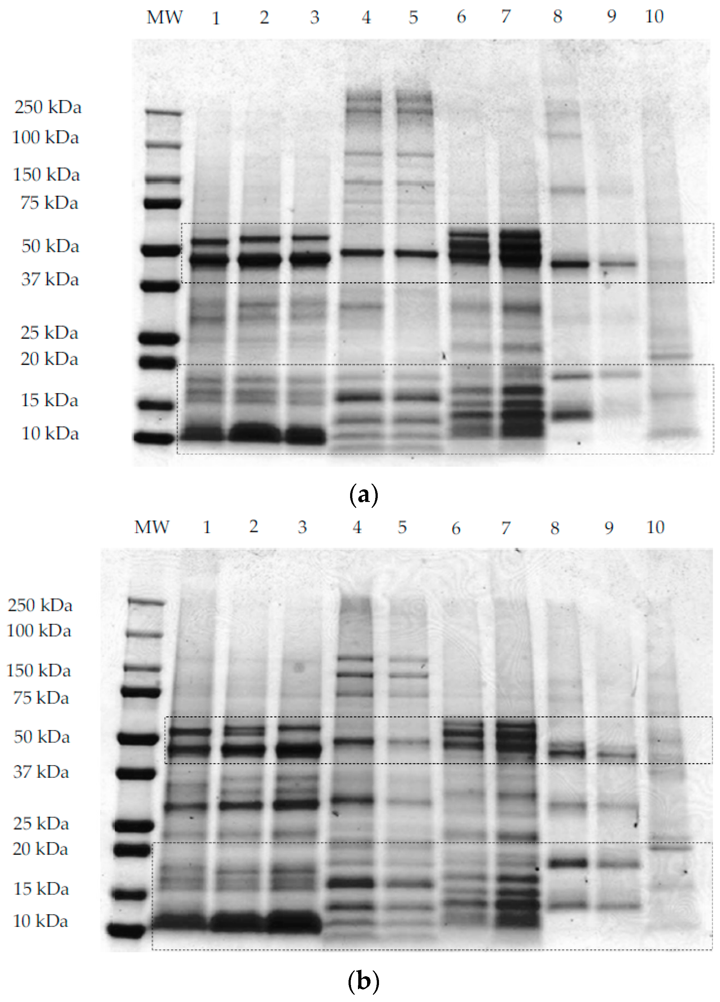 Foods 07 00073 g003a 550