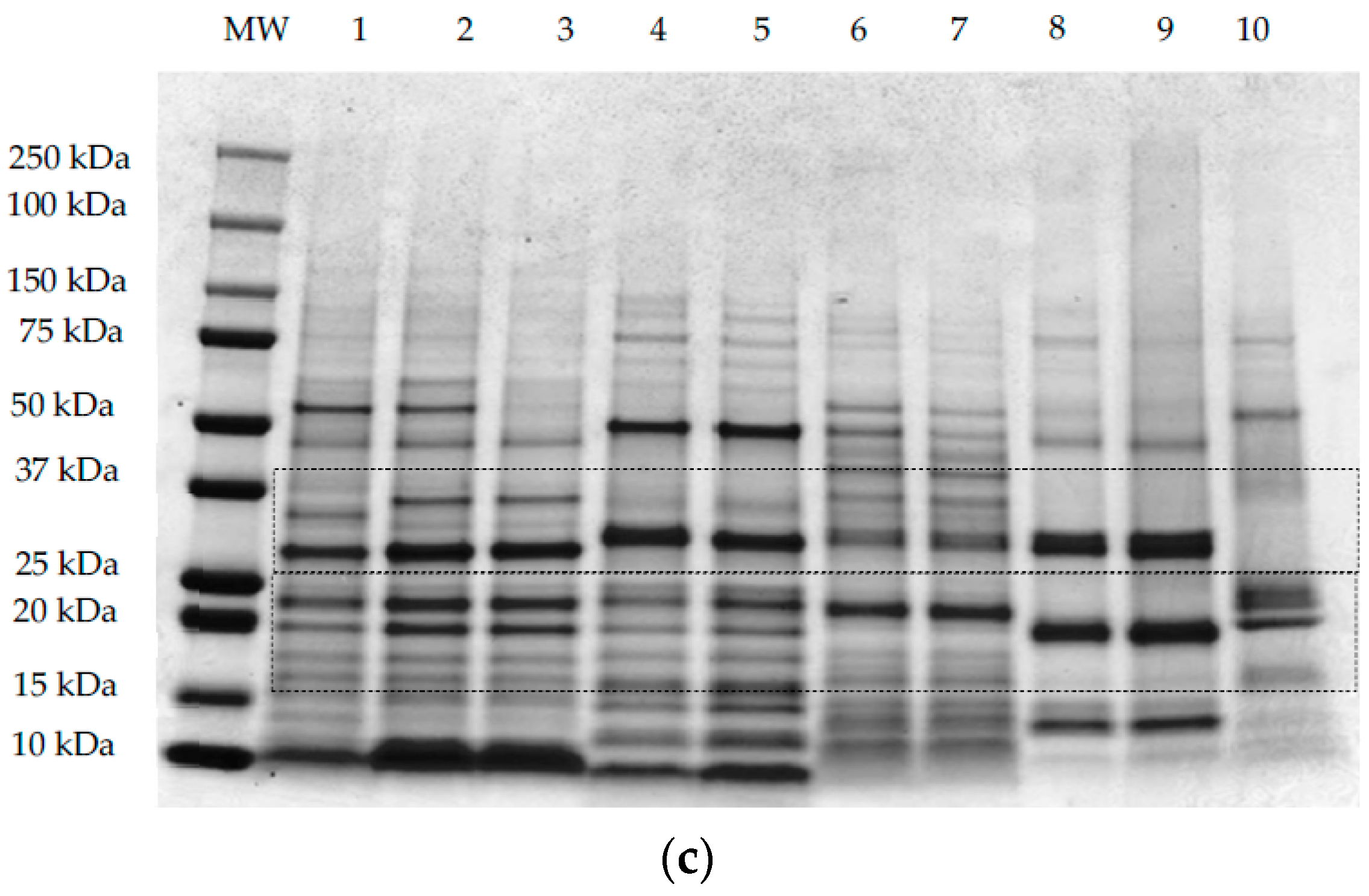 Foods 07 00073 g003b 550
