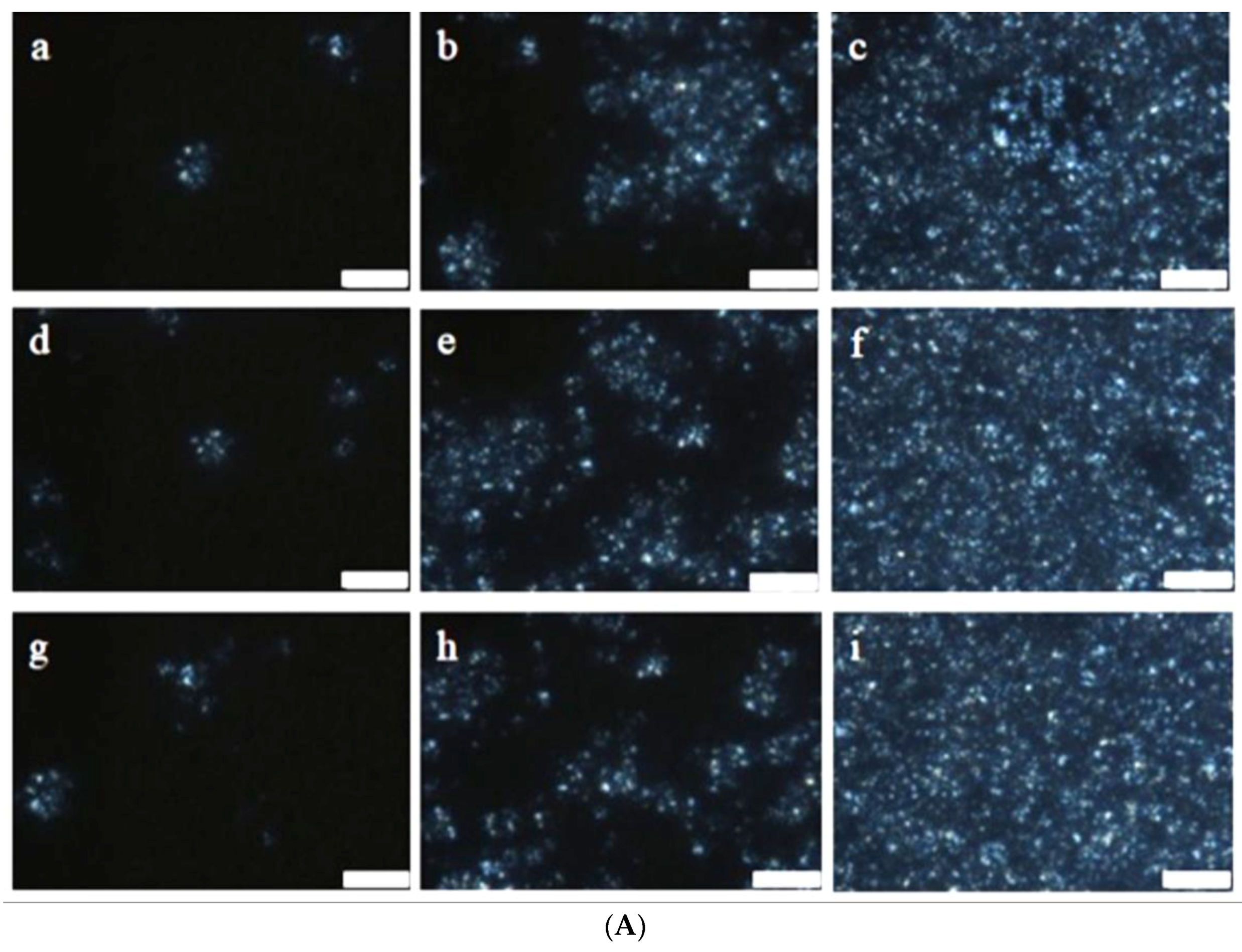 Foods 07 00075 g002a 550