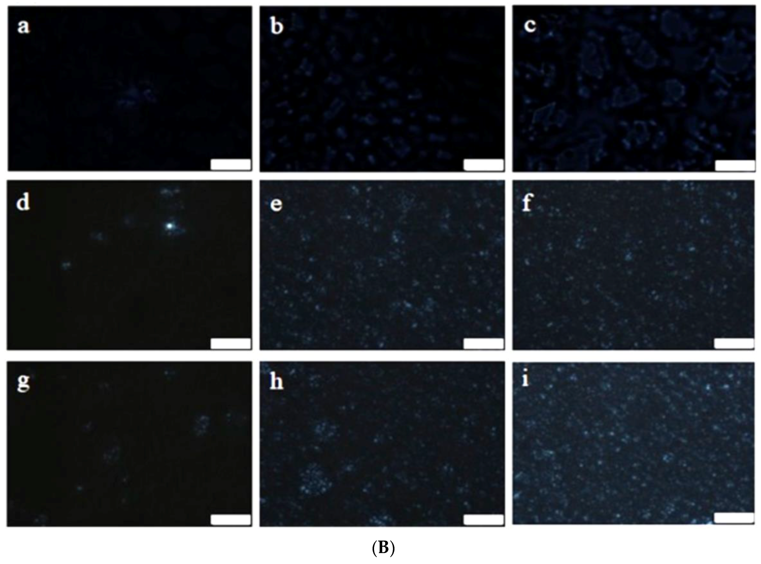 Foods 07 00075 g002b 550
