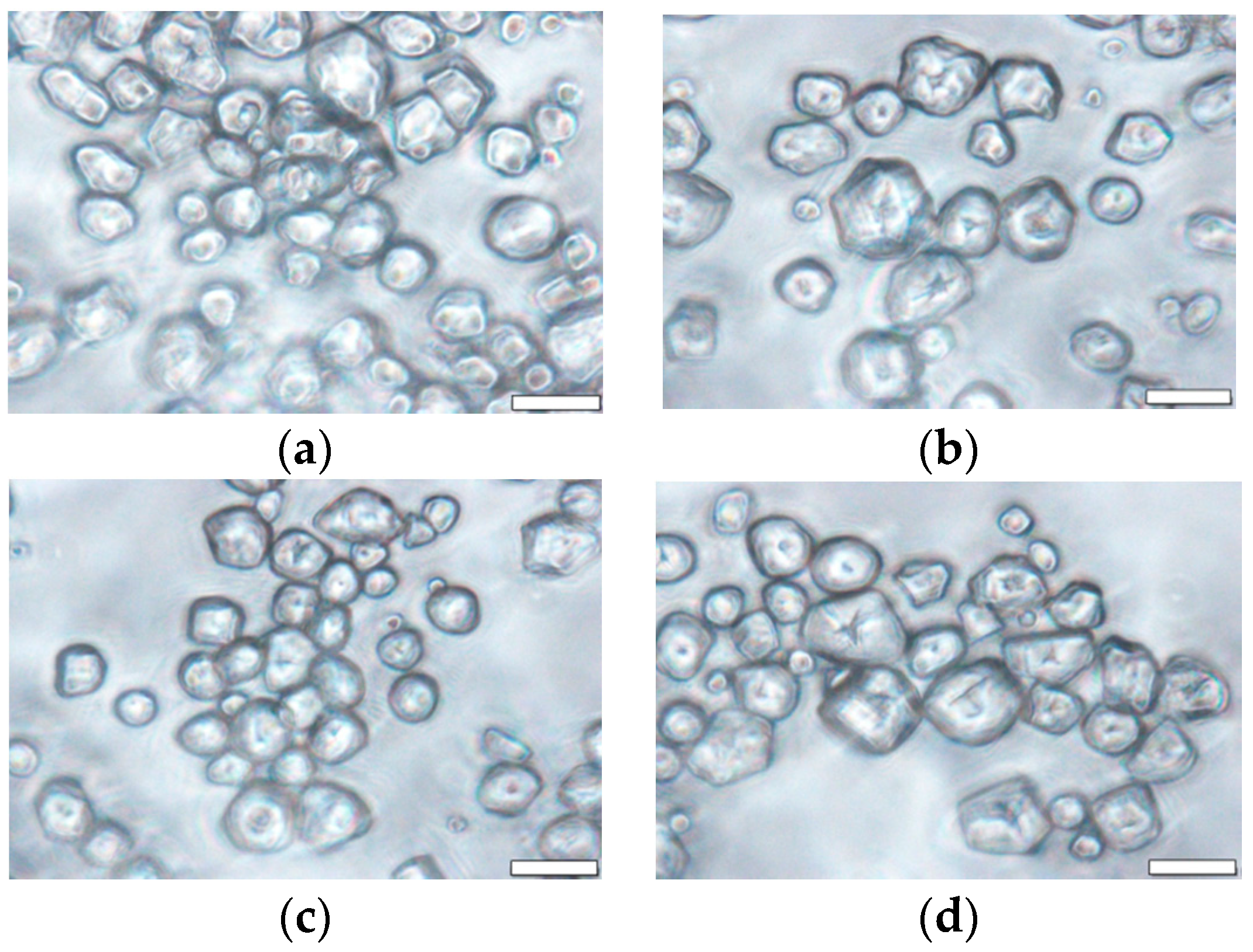 Foods 07 00133 g003 Foods 07 00133 g003